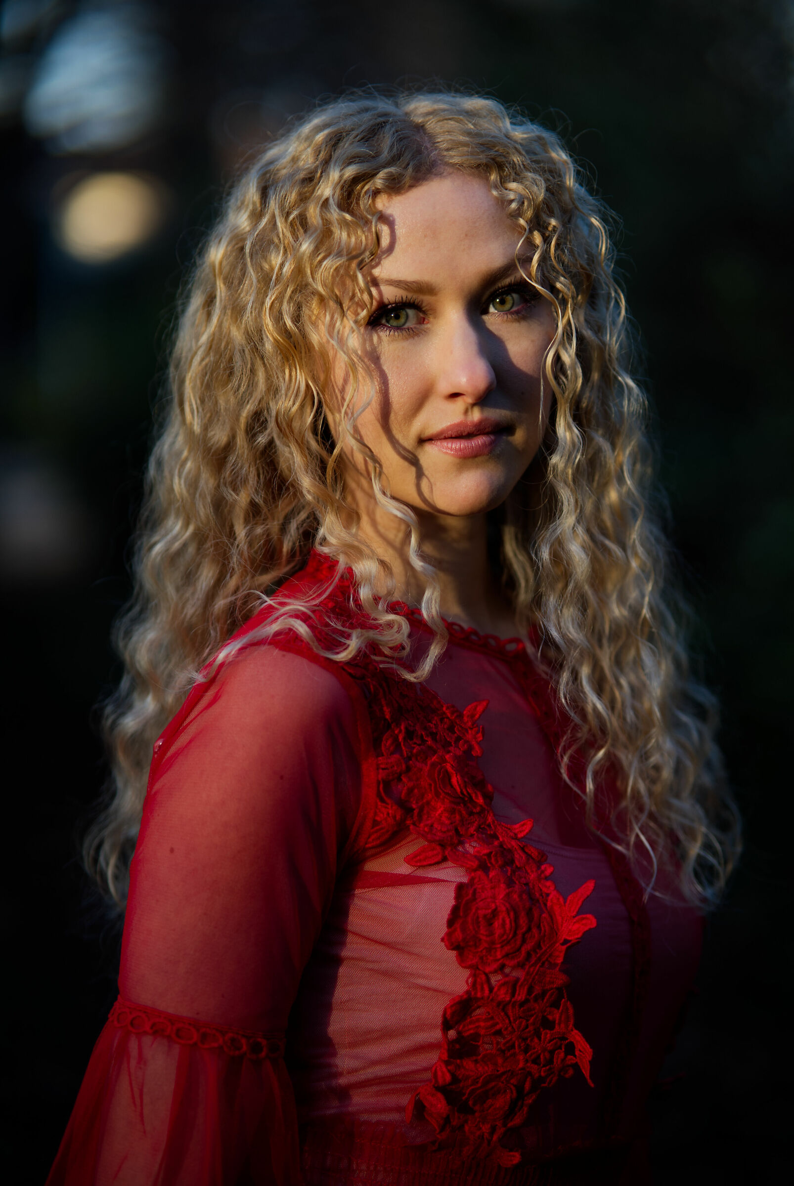 Renaissance Portrait