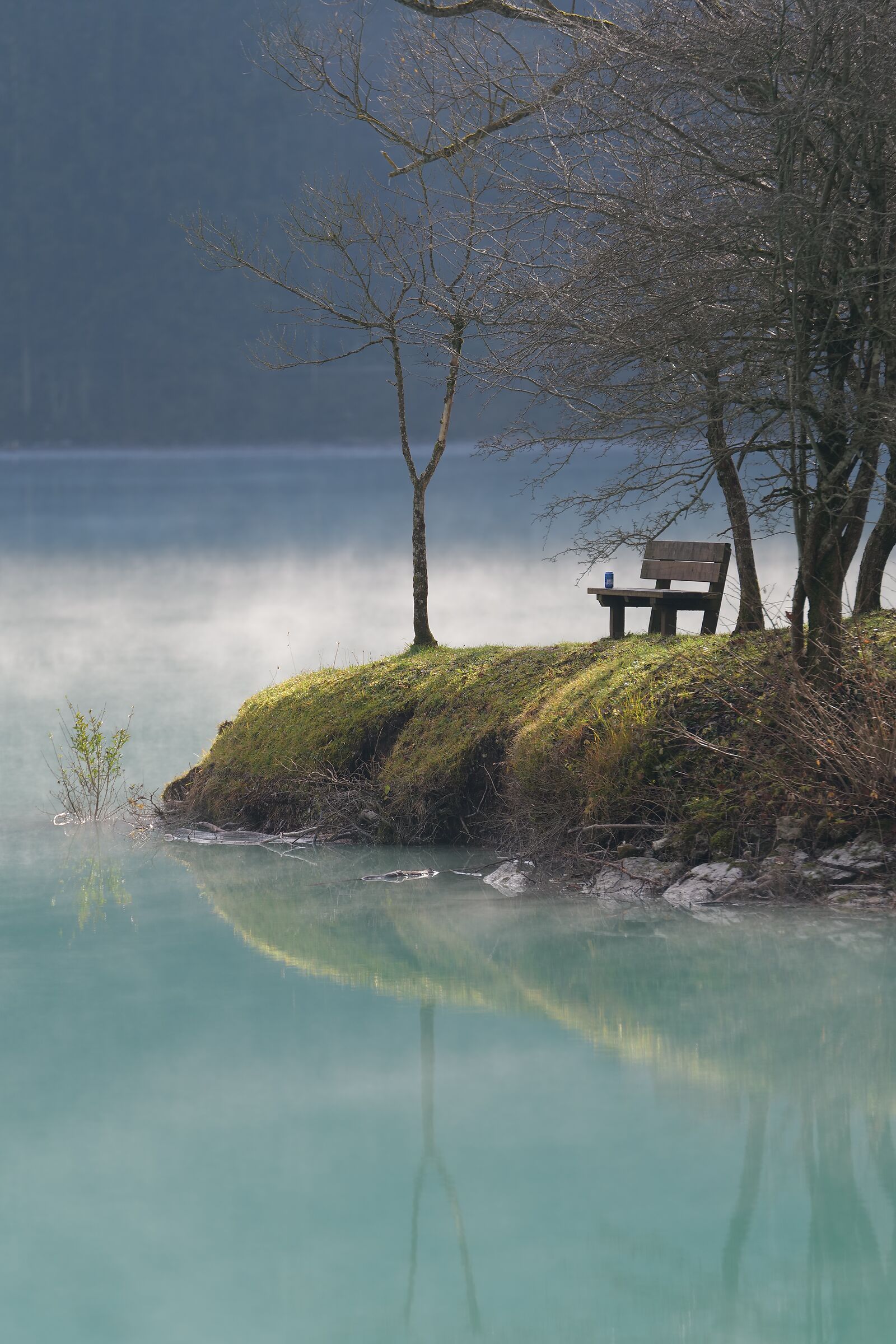 Barcis and abandoned can