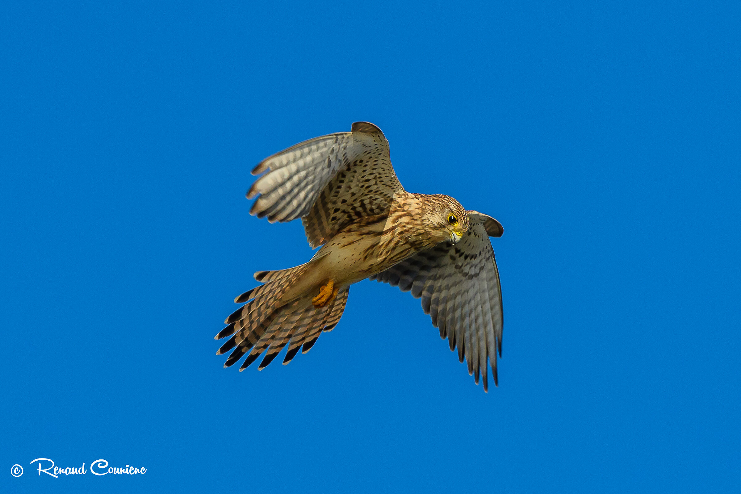 volo dello Spirito Santo