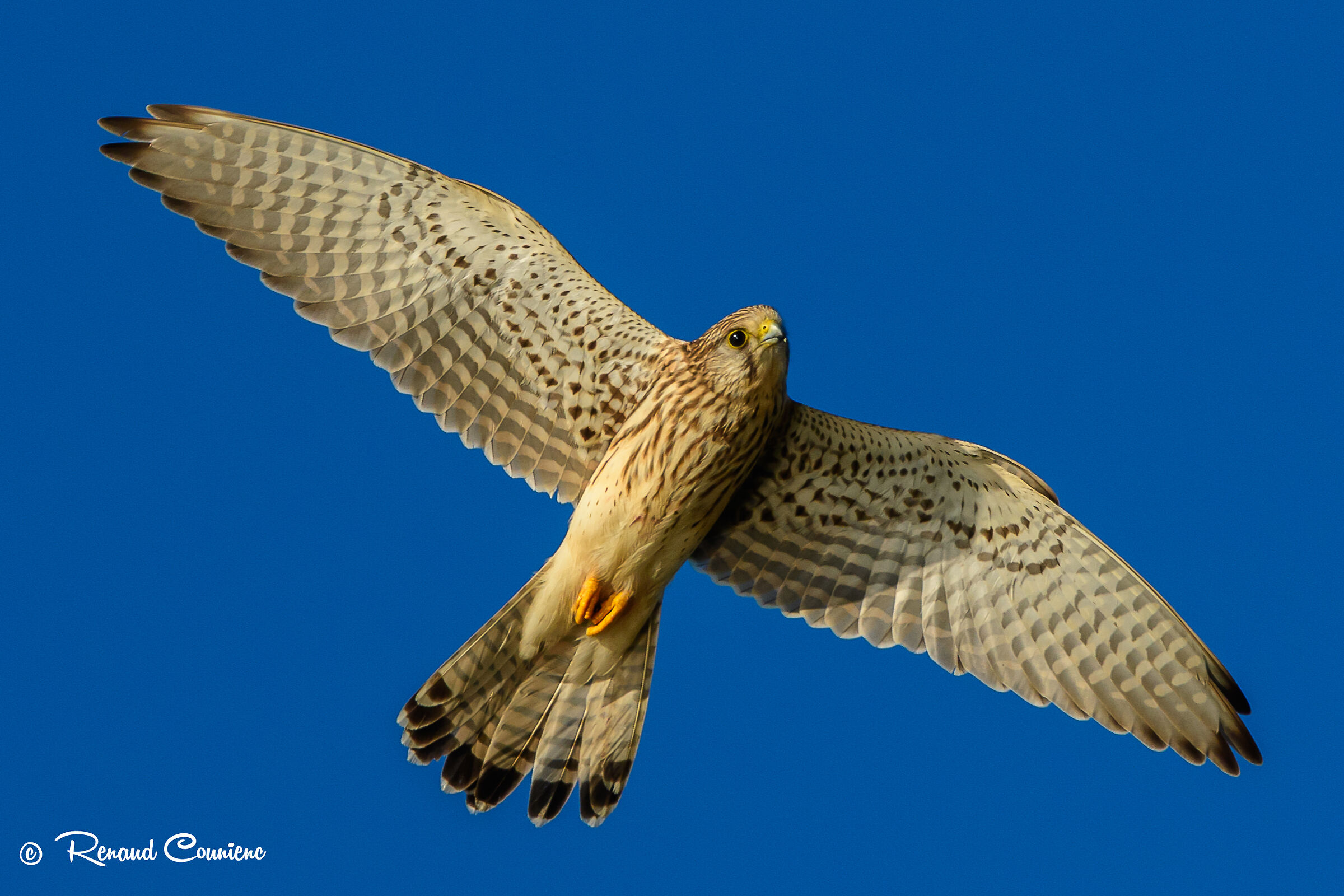 She comes to check who I am