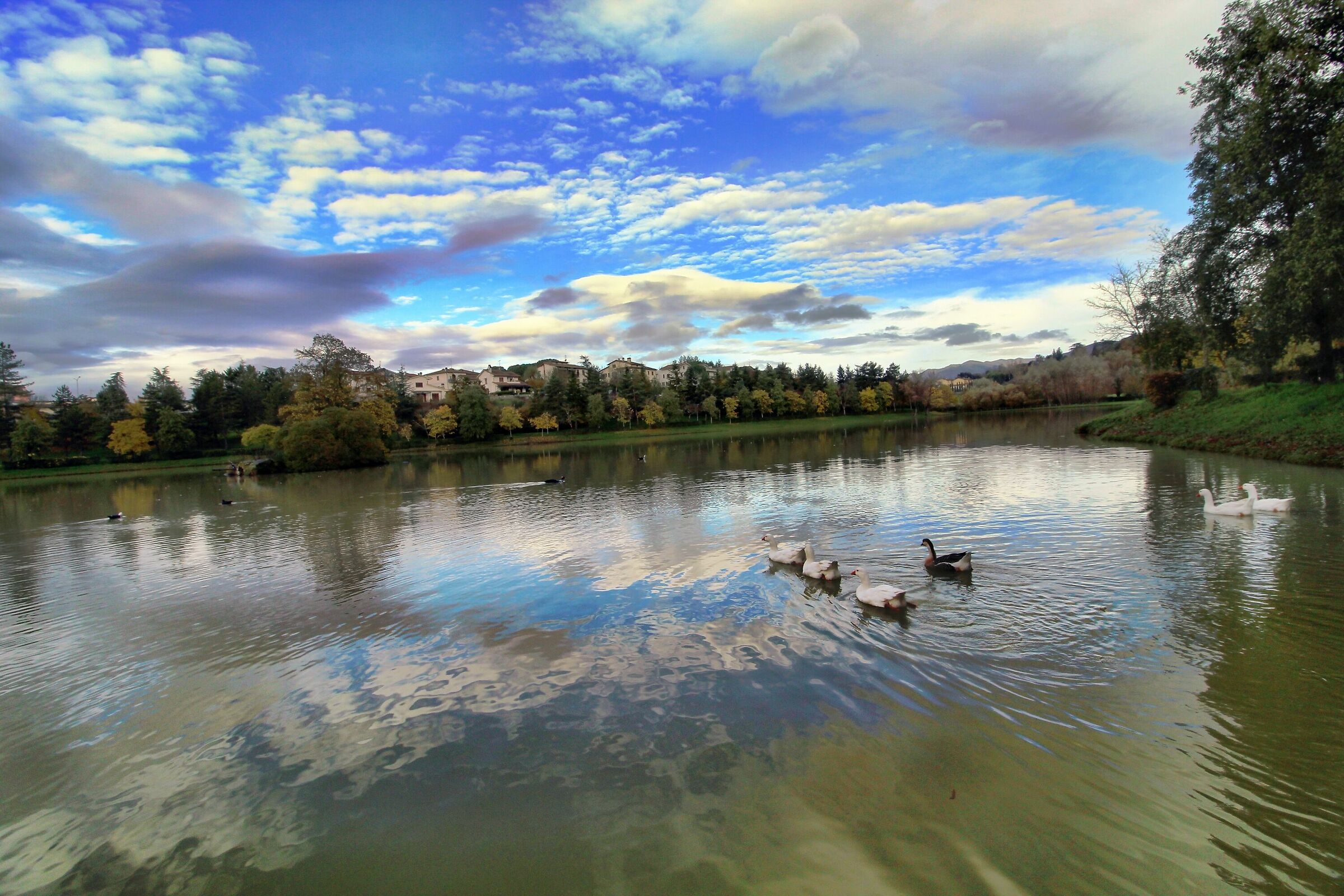 Vicchio Lake Montelleri