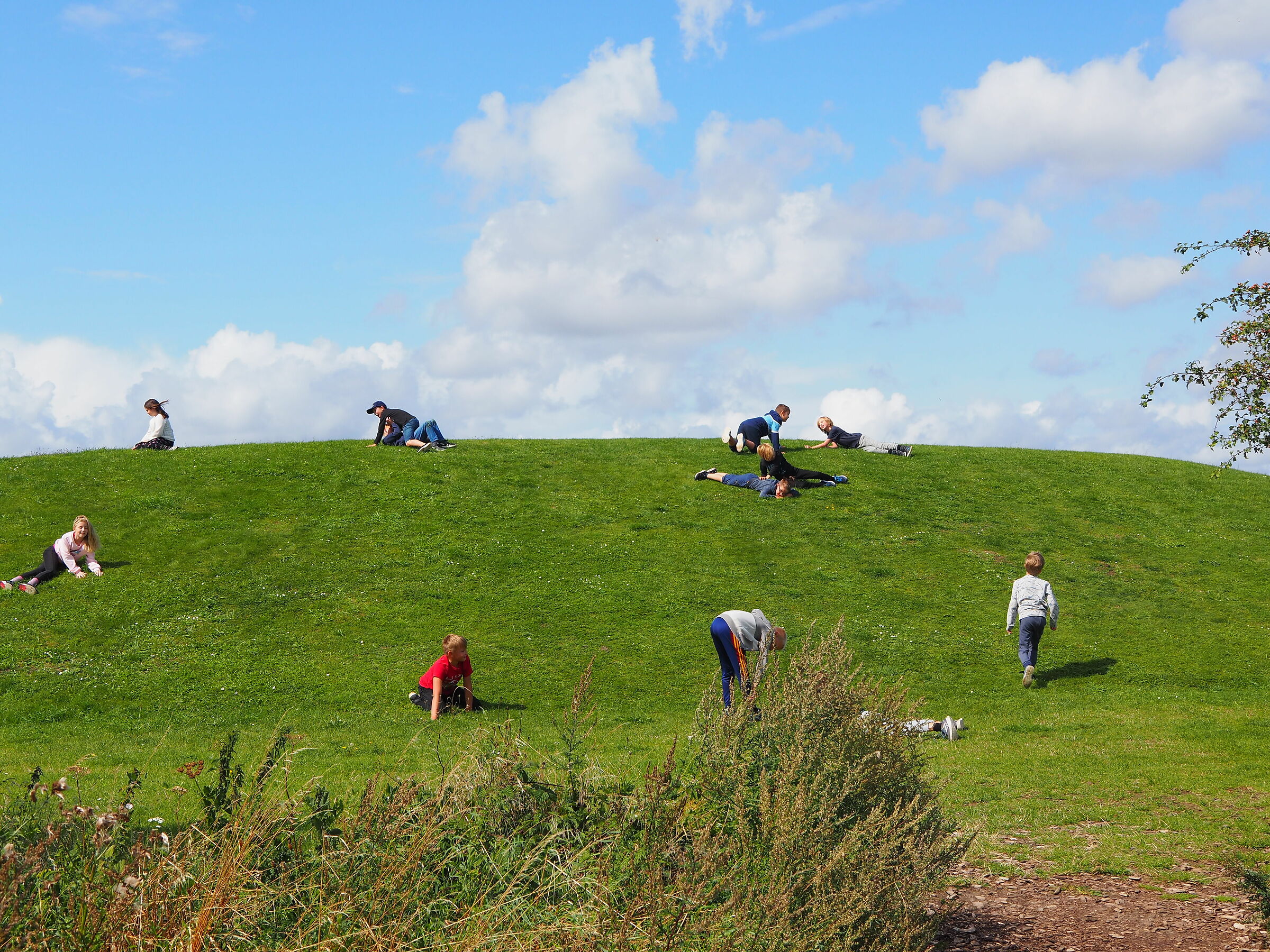 Rotolando verso ...nord