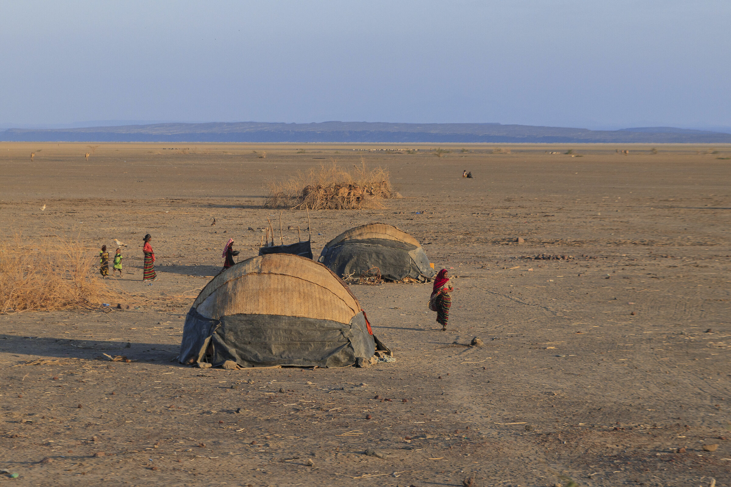 Etiopia.Danakil(dancalia)Popolazione Afar