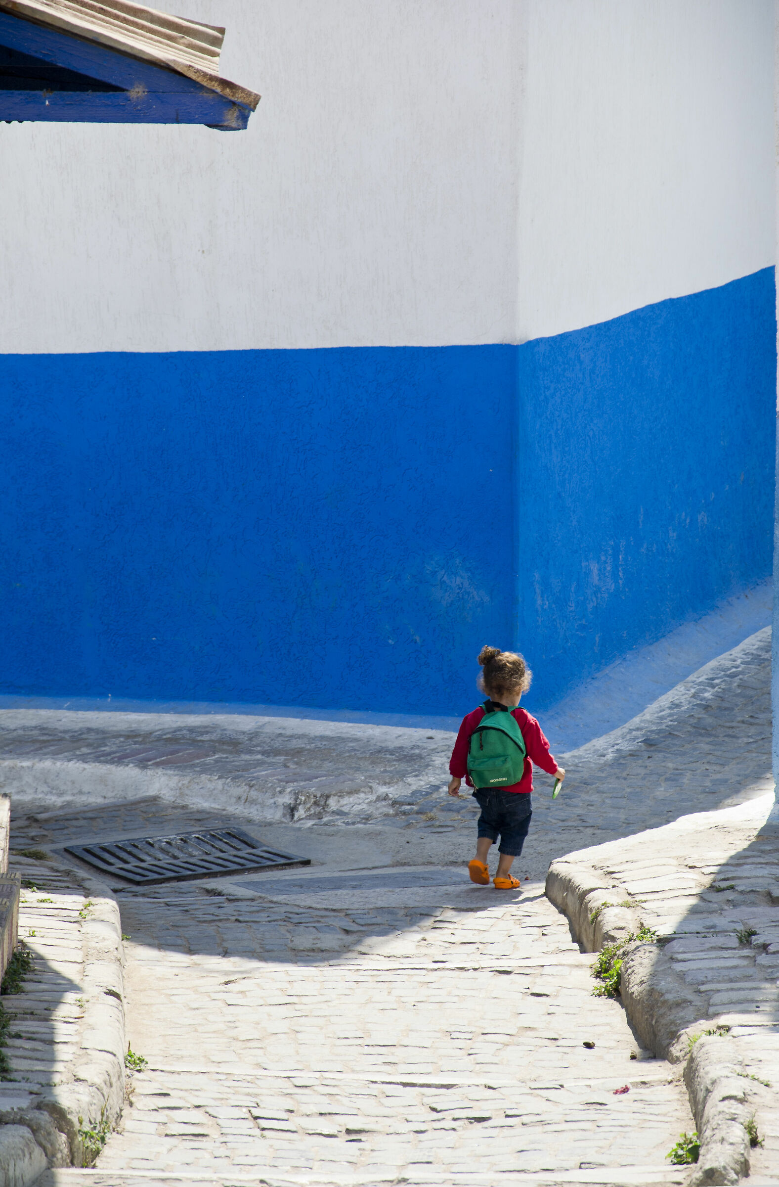 The education above everything