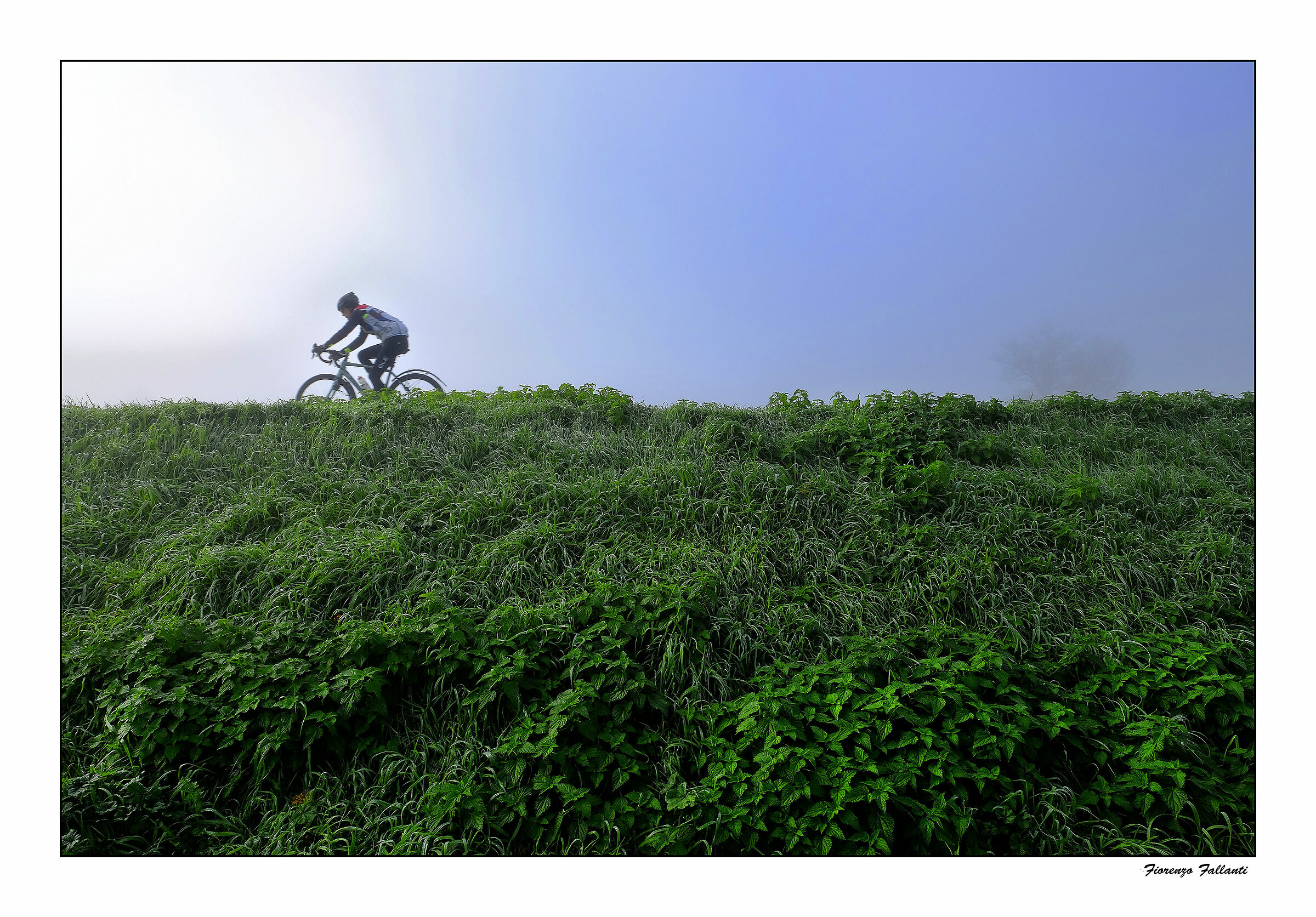 ...Nebbie di periferia 3...