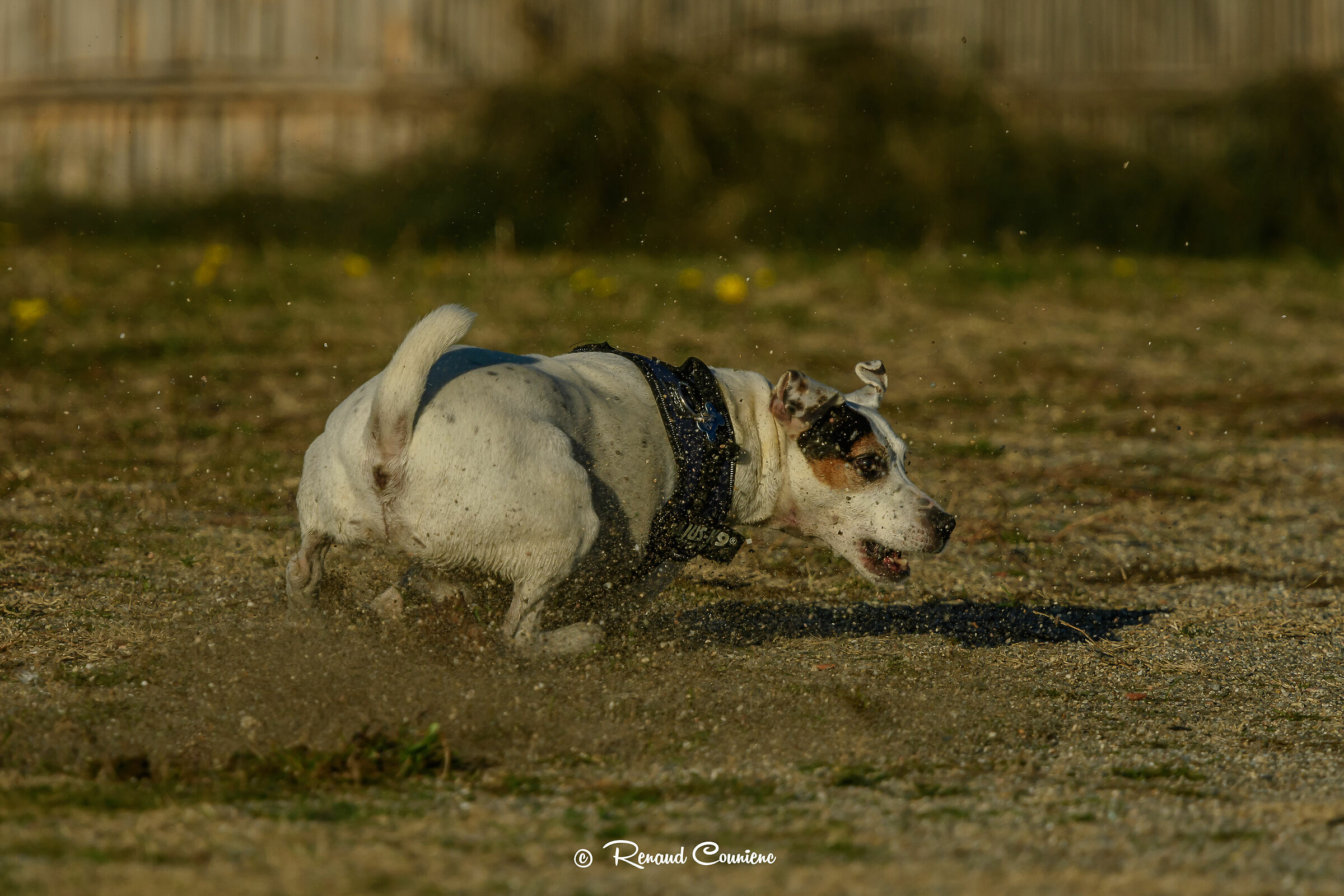 I was wrong on the side