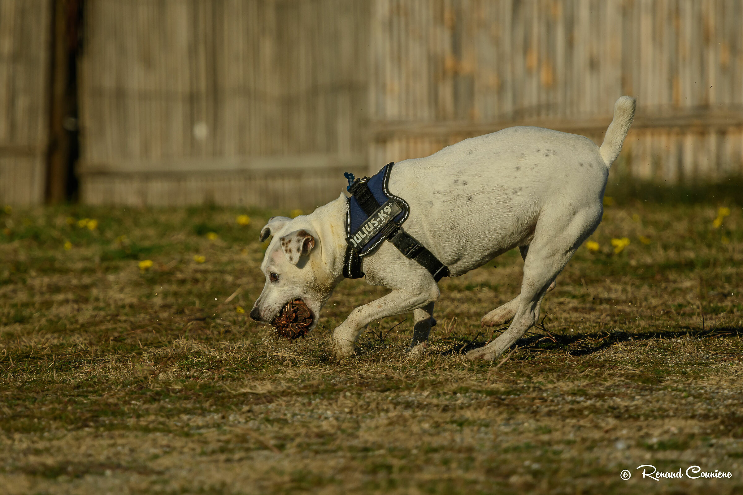 They call me to stop playing :(