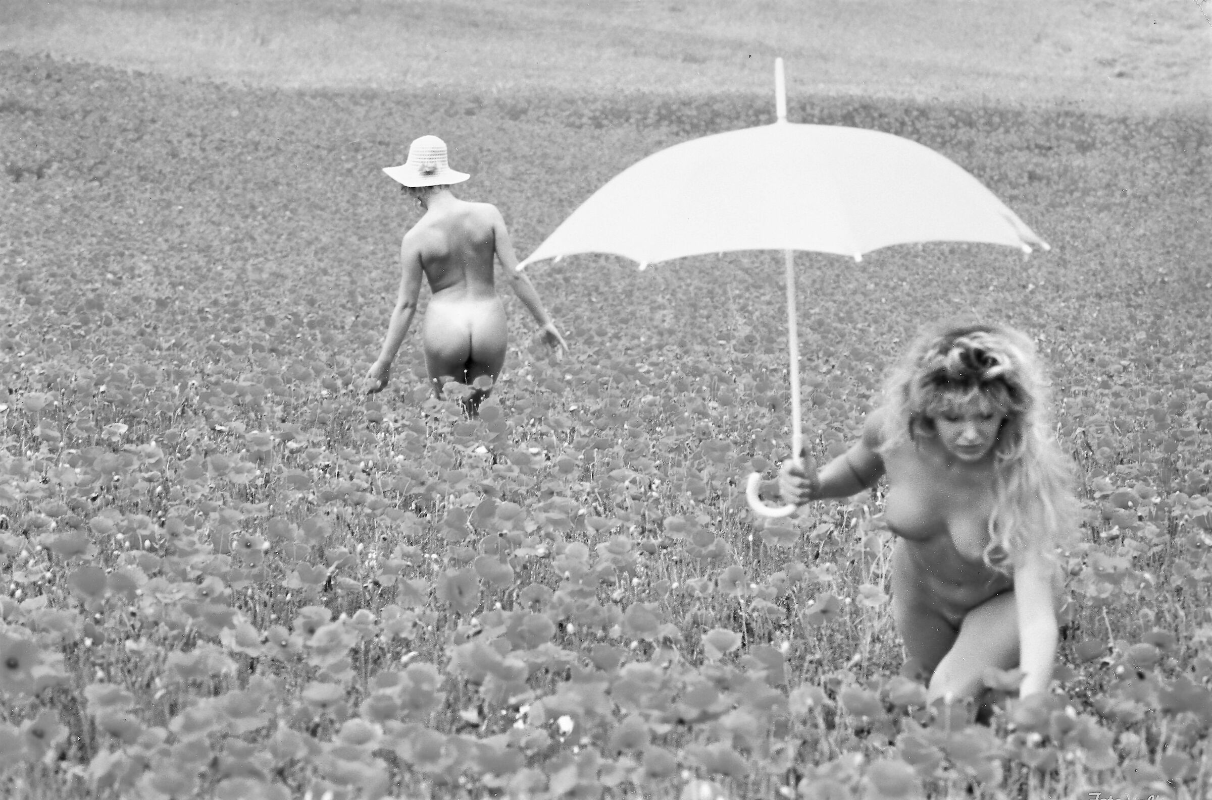 Campo di papaveri, con ombrello giallo.