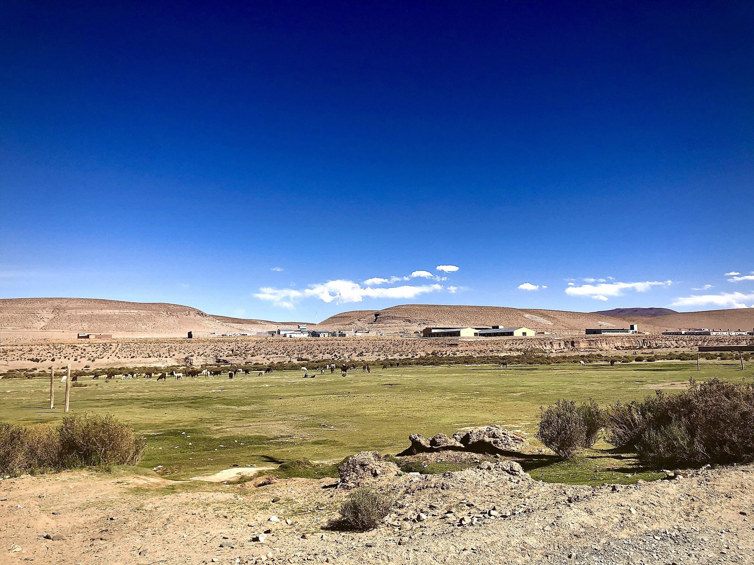 San Antonio de los Cobres