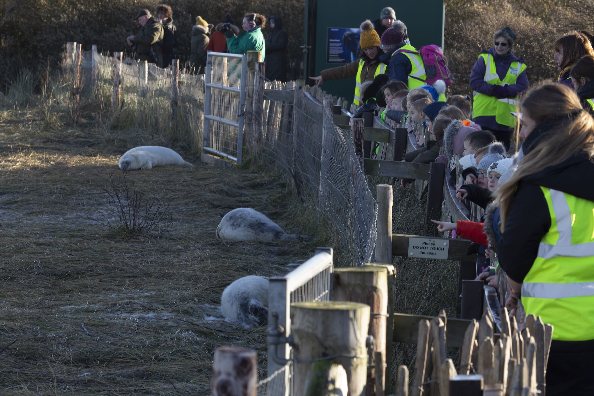 Donna Nook Recinzione