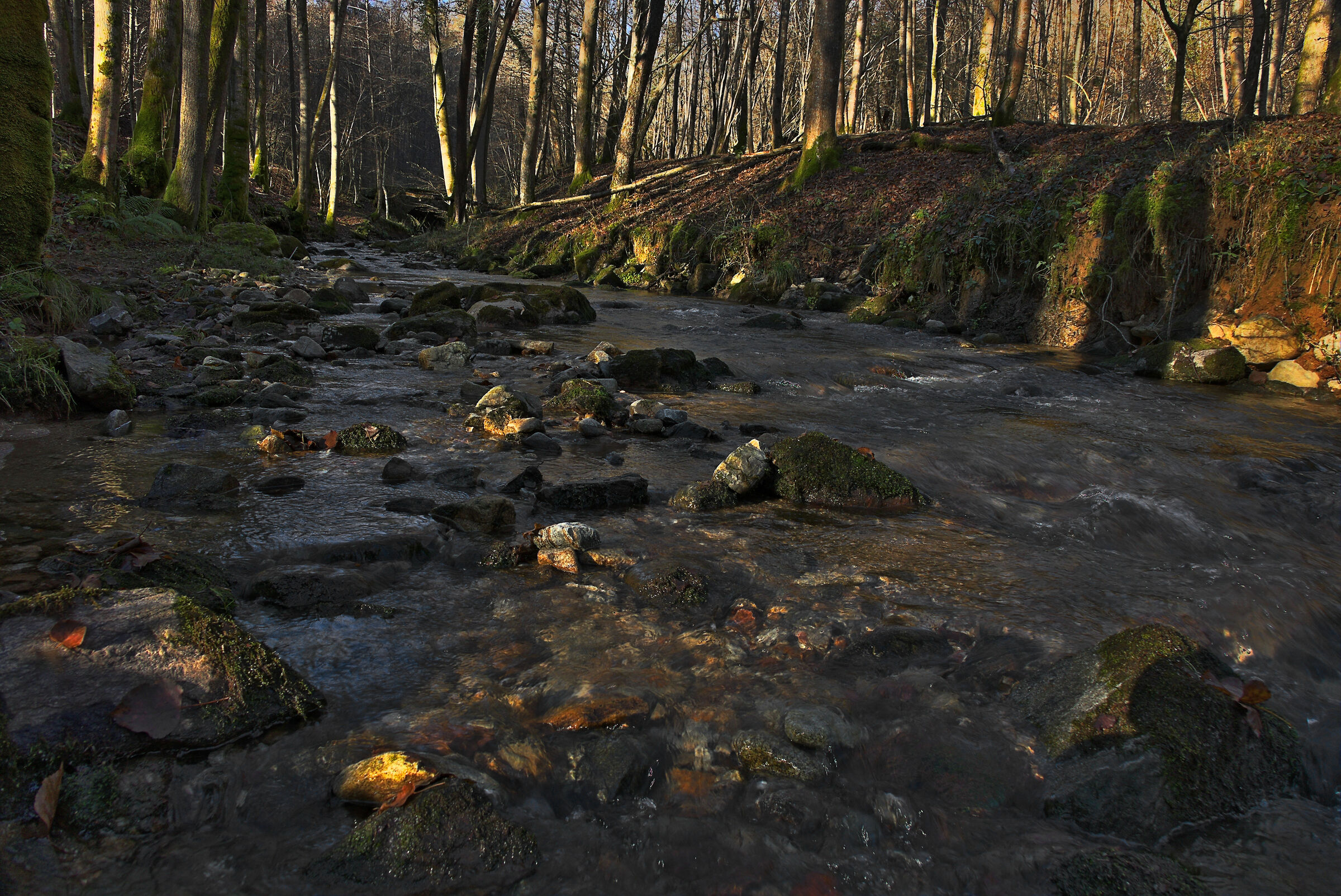 Torrente dopo la Piena