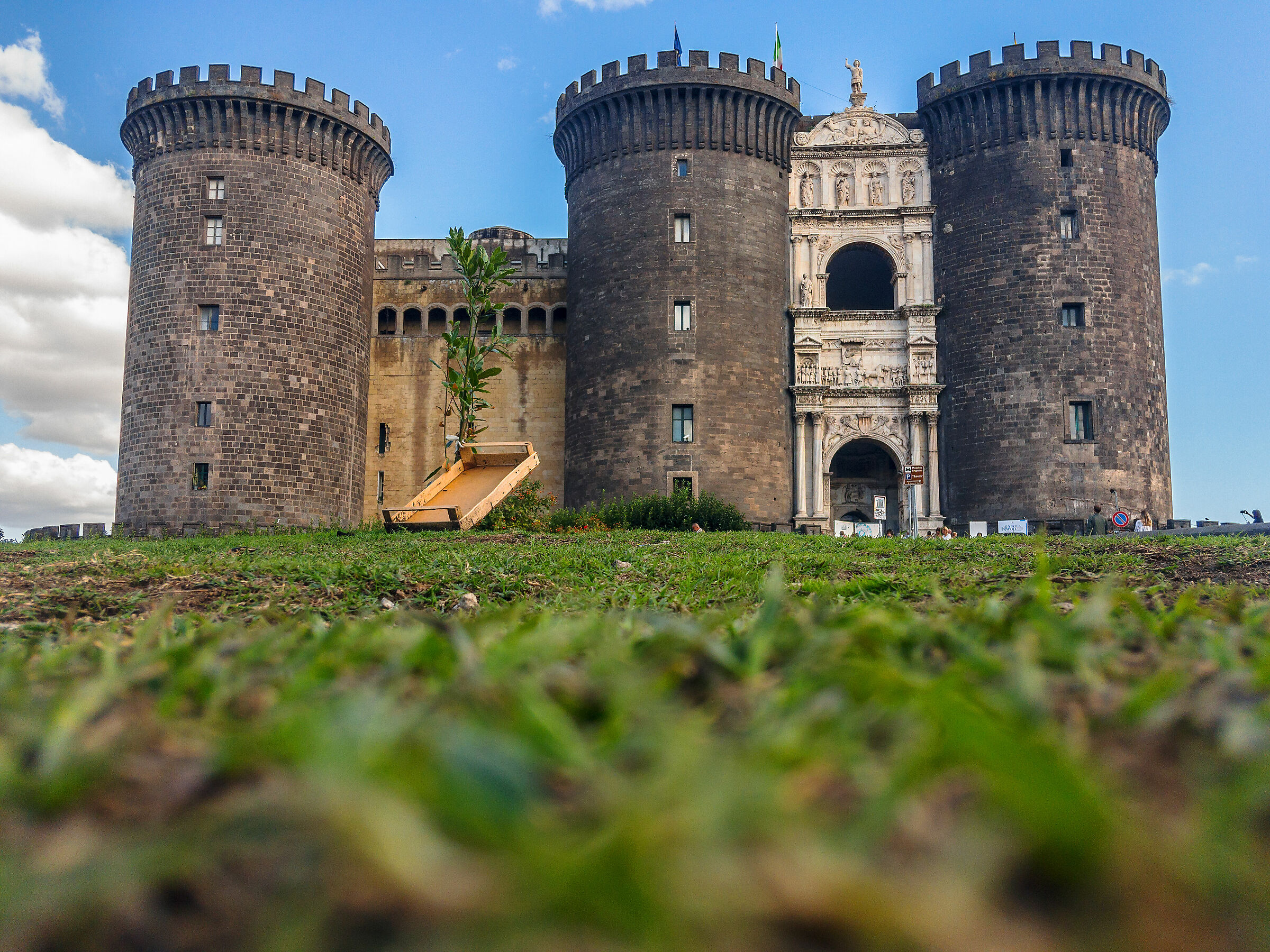 The Angioino Male seen by an ant