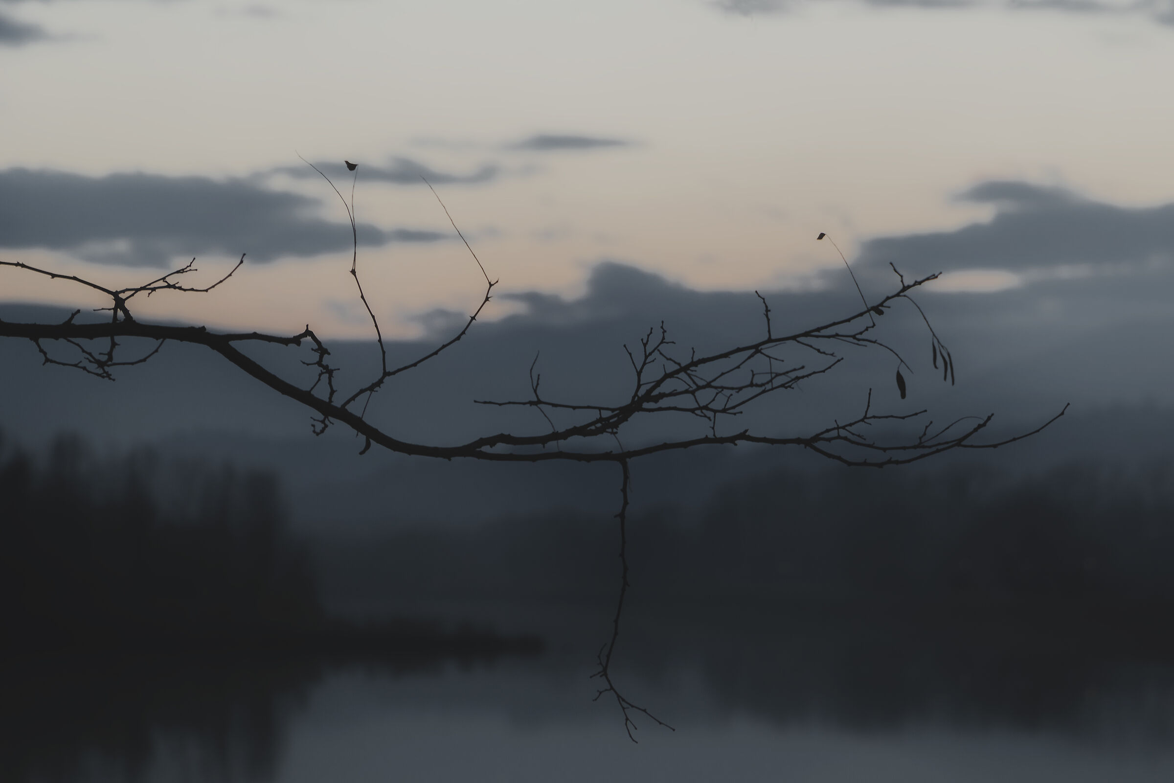 Dark Mood al Lago le Grazie di Tolentino