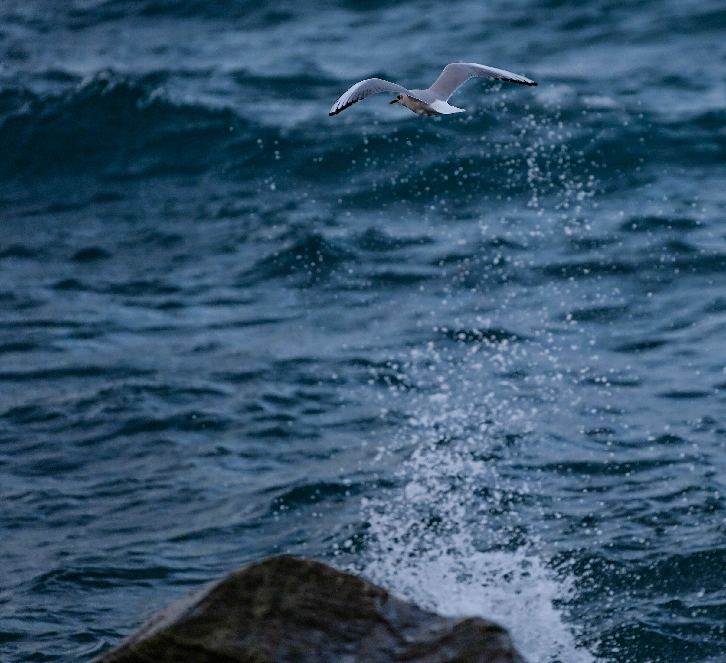 Flight over the wave