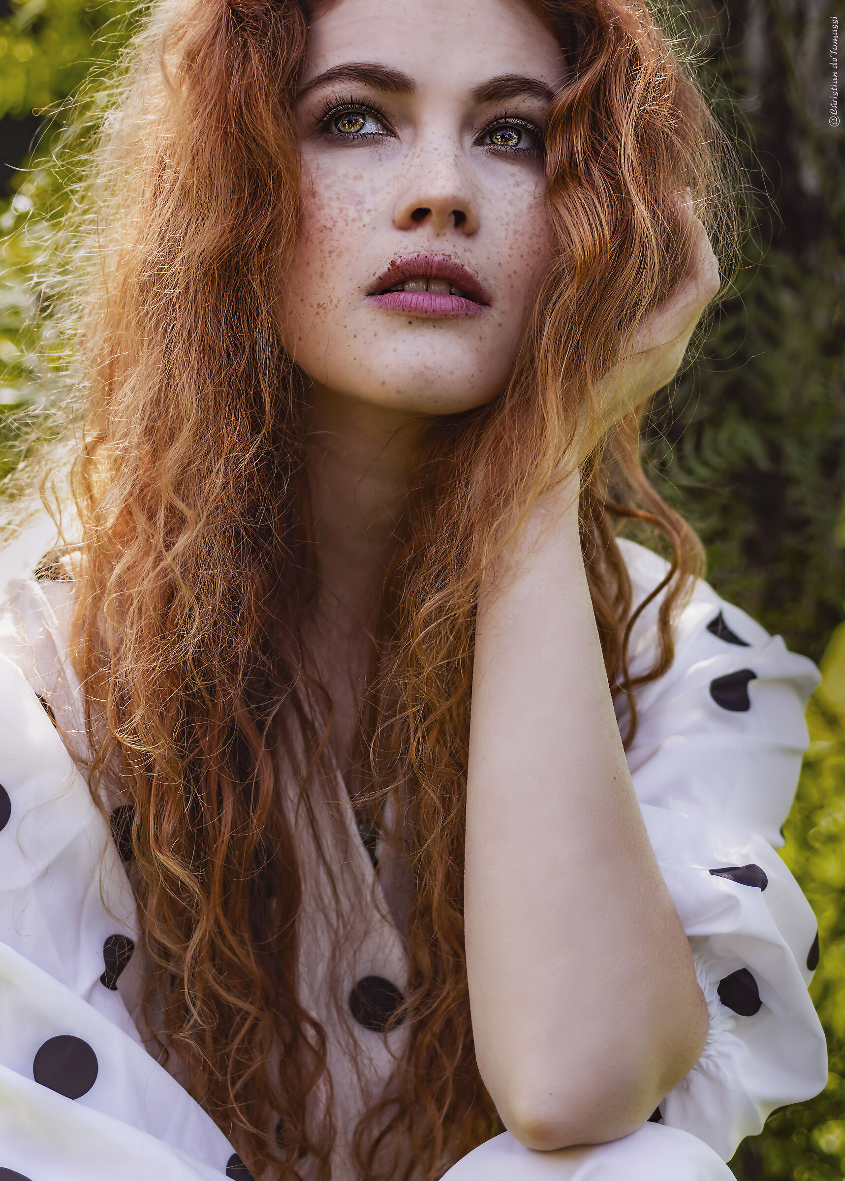 dreaming a better World