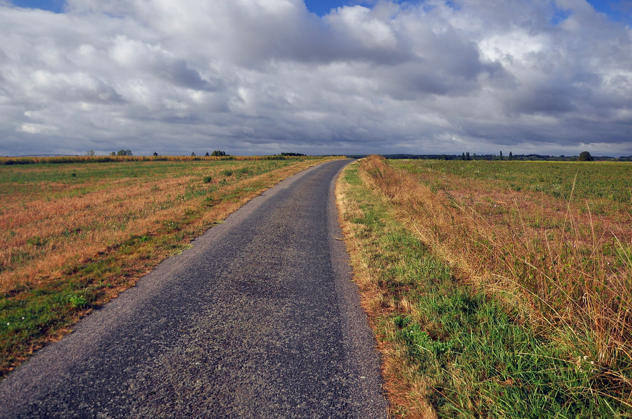 Strada verso l'orizzonte