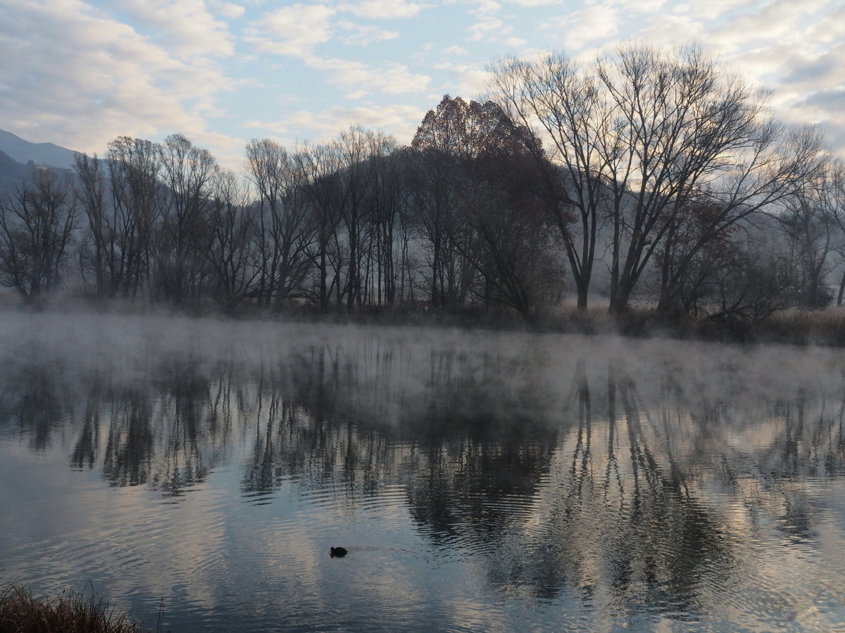 mattinata in riva all'Adda