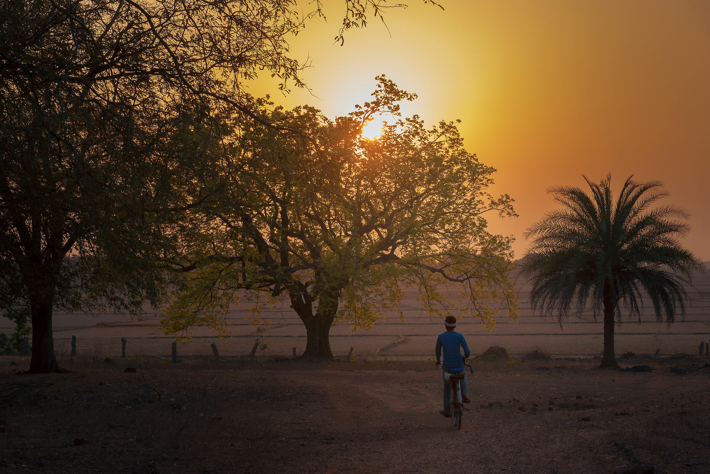 Chhattisgarh sunset