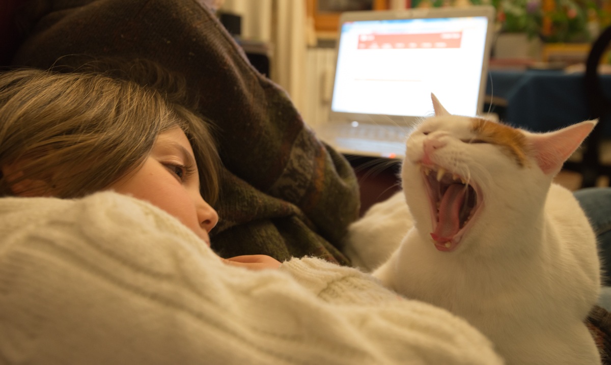 Sbadiglio contagioso