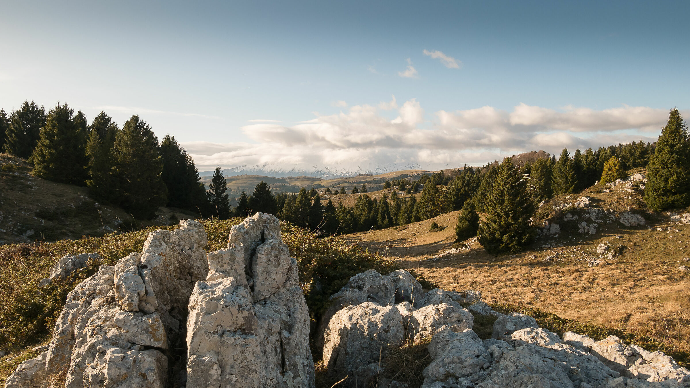 Parco naturale regionale della Lessinia
