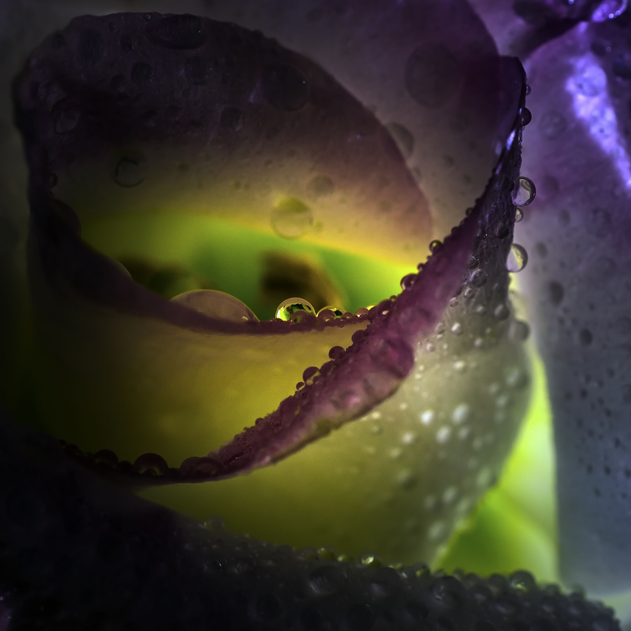 Playing with Light I.