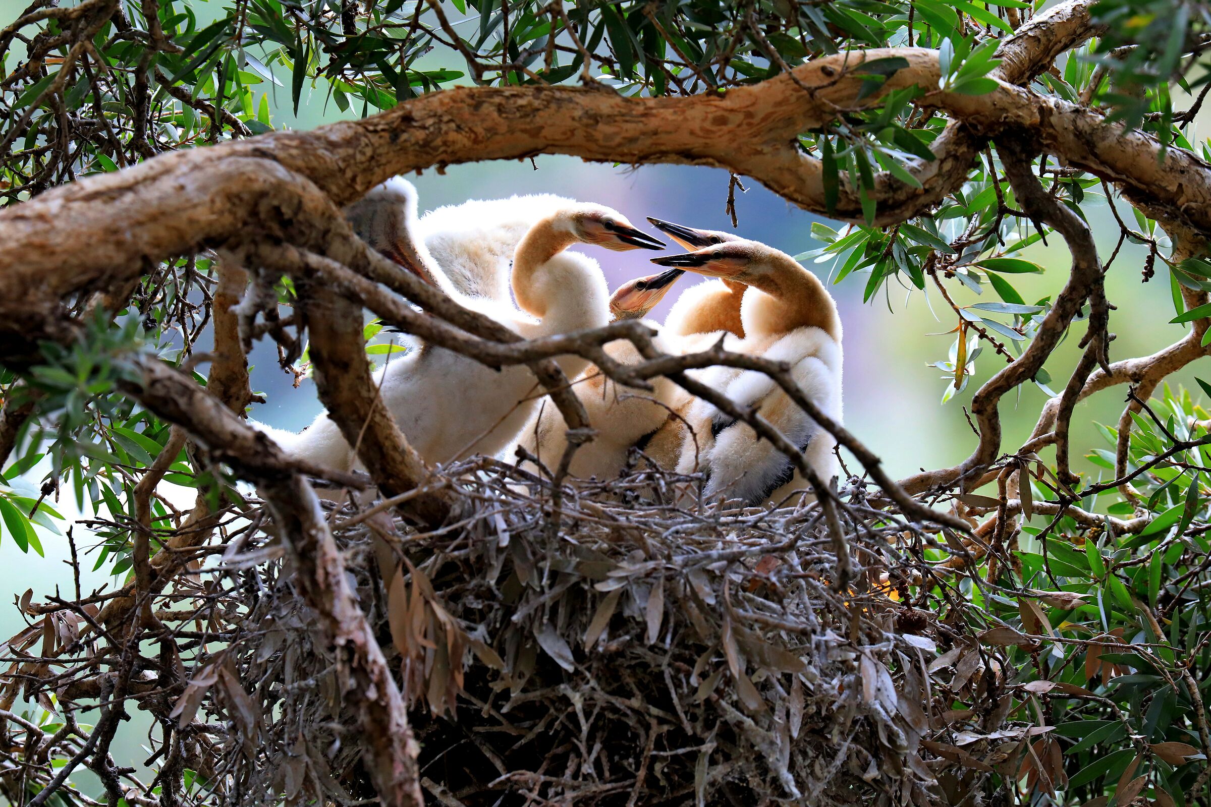 Where are mom and dad?