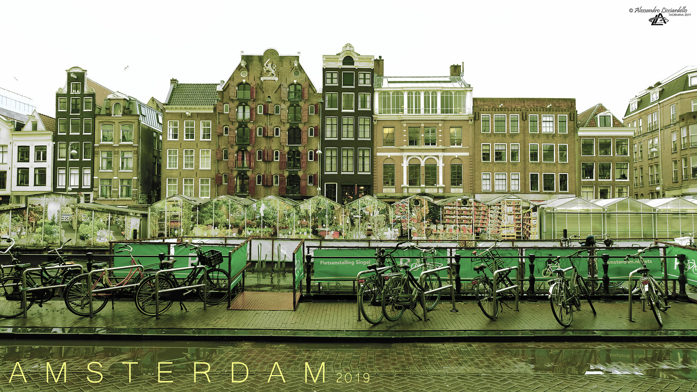 Amsterdam Houses