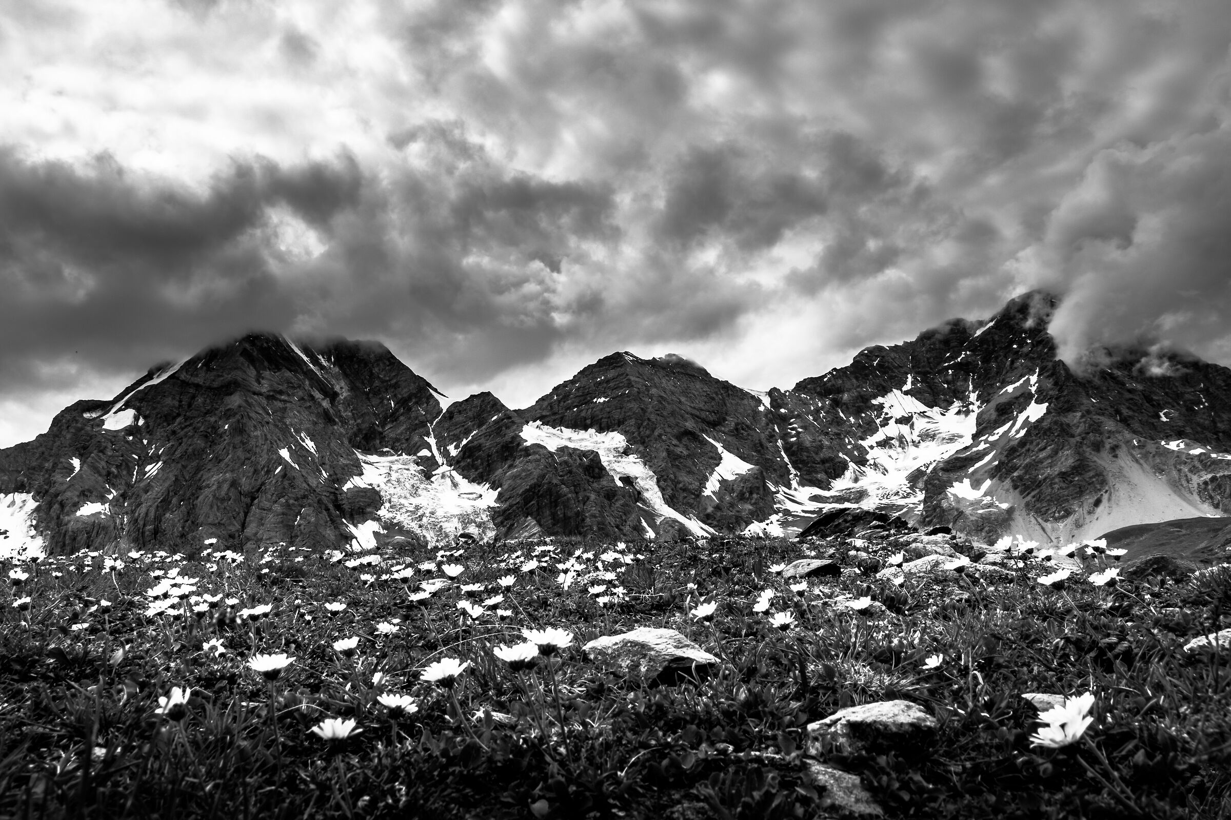 Ortles-Cevedale Group