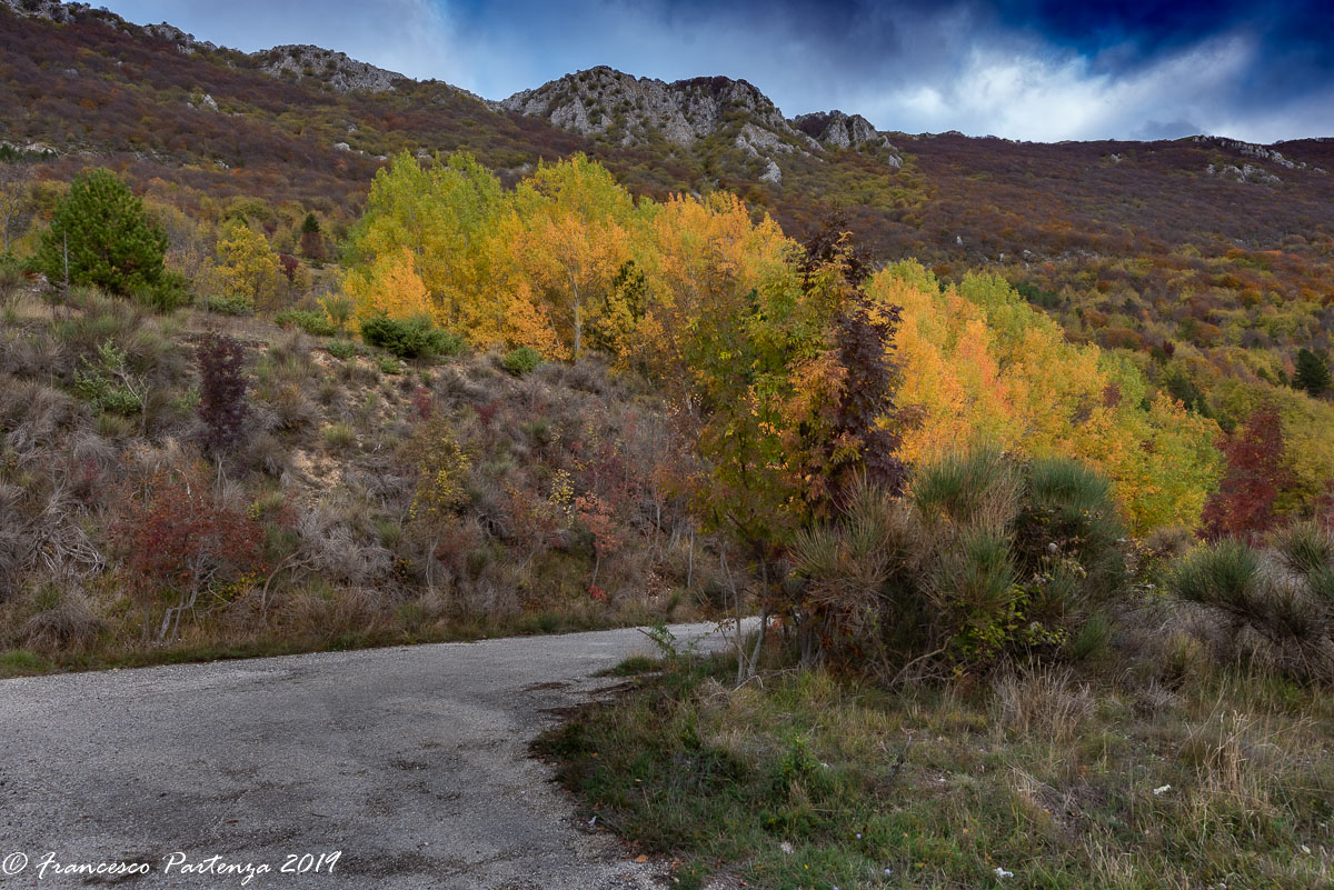 Autumn with its colors
