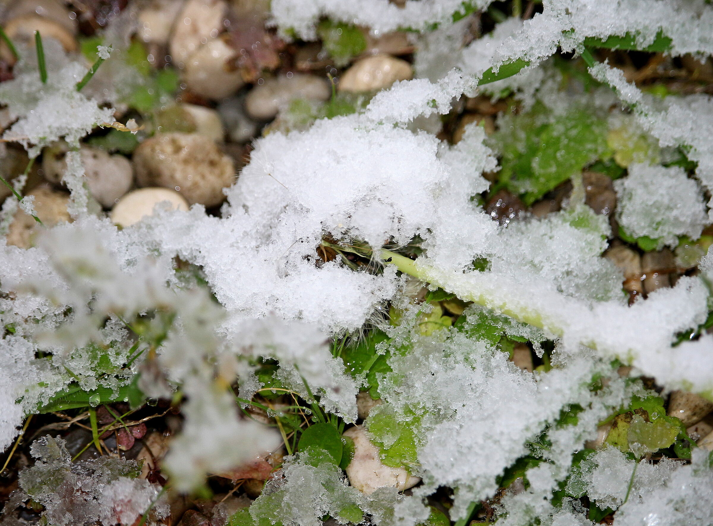 Breath under the snow