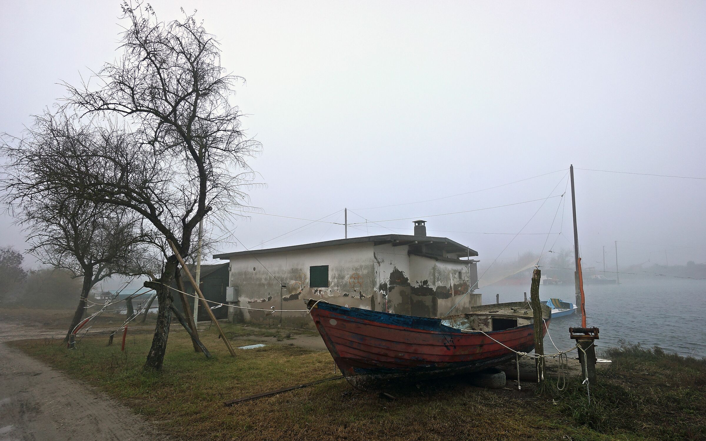 The Valley and the Fog