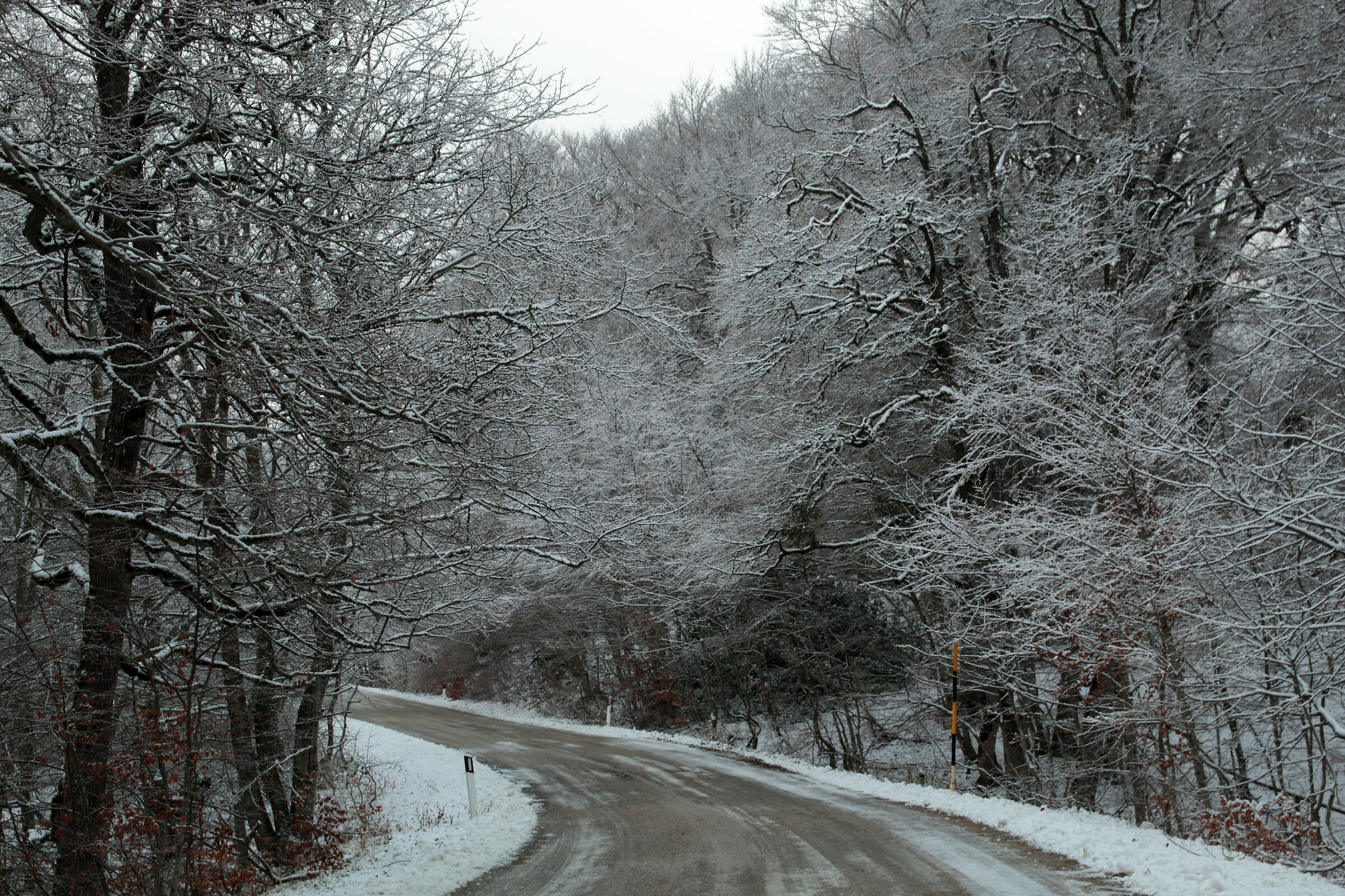 assaggio d'inverno