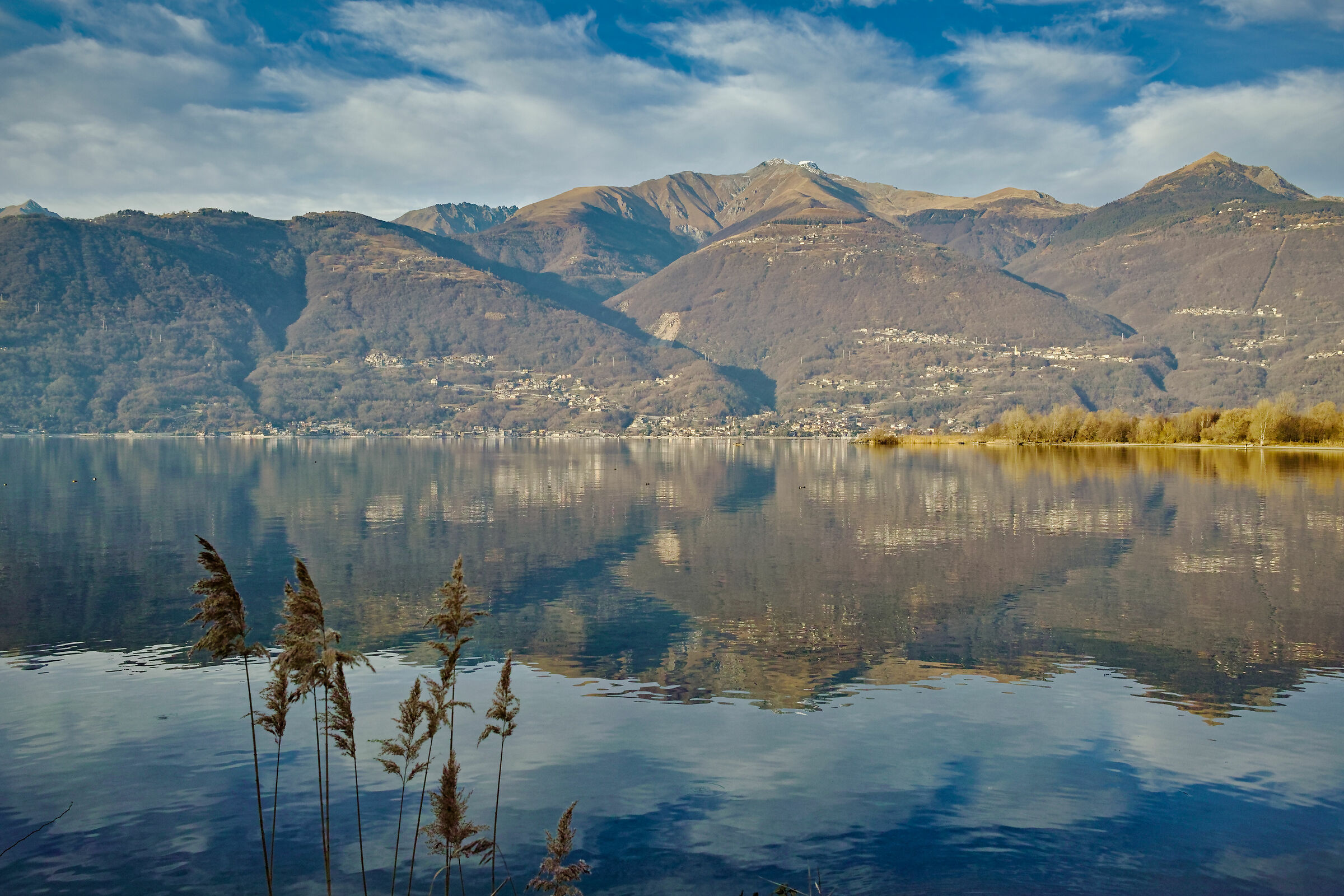 Colic Path of the Walker