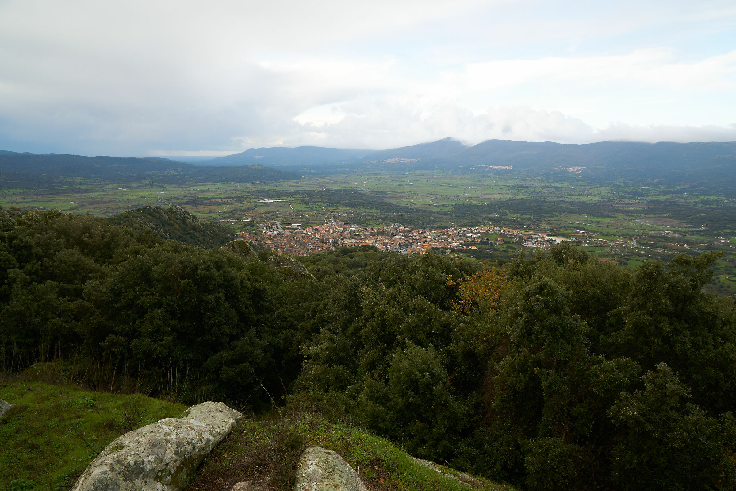 zeiss 1670 16mm center