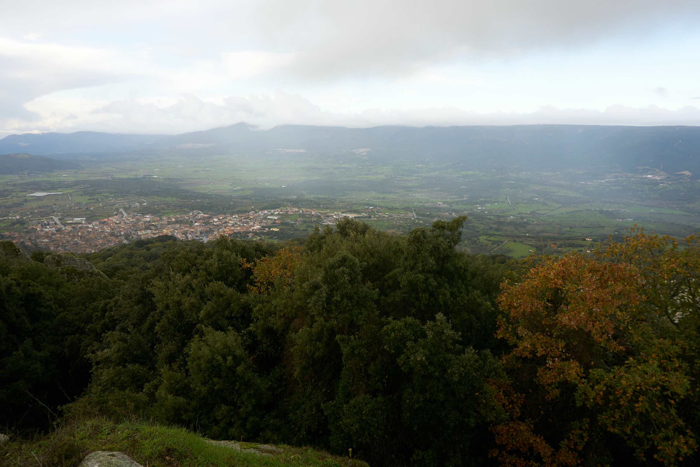 Sony 1650 16mm sx f8