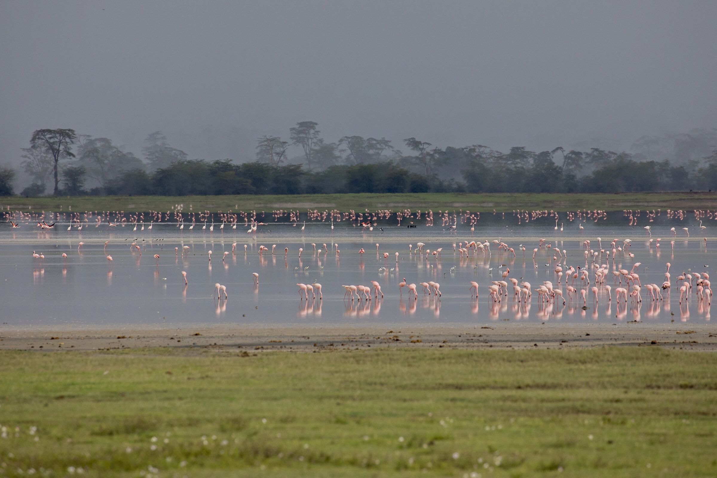 Nubi basse sul Ngorongoro