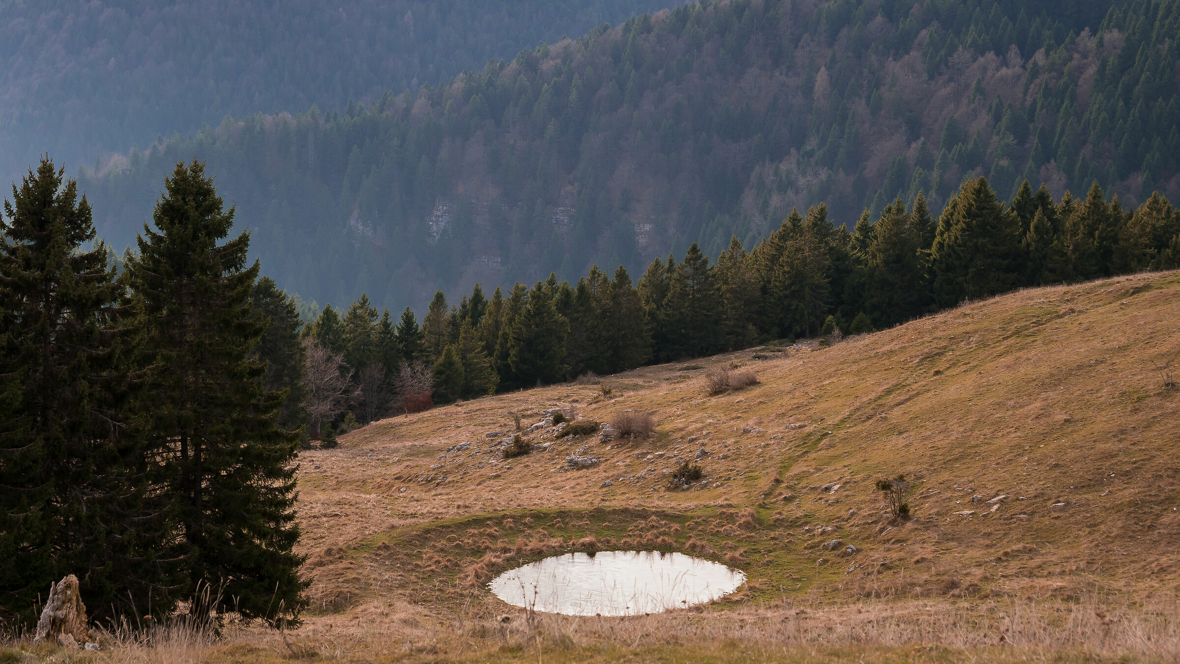 On the path from Mouth of Selva to Podestaria