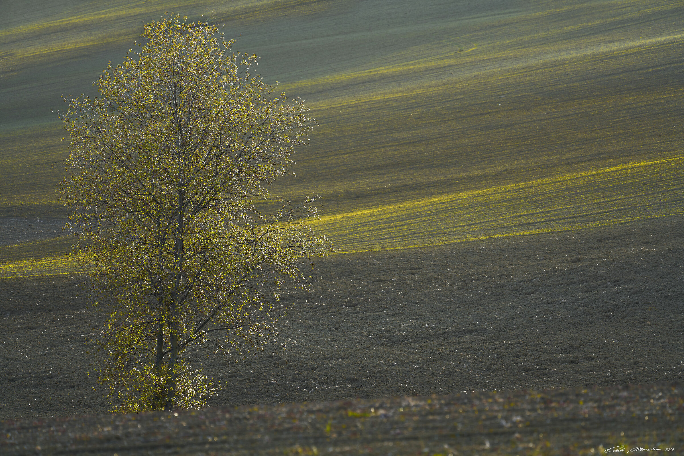 Andante...Adagio - Il ritmo della terra