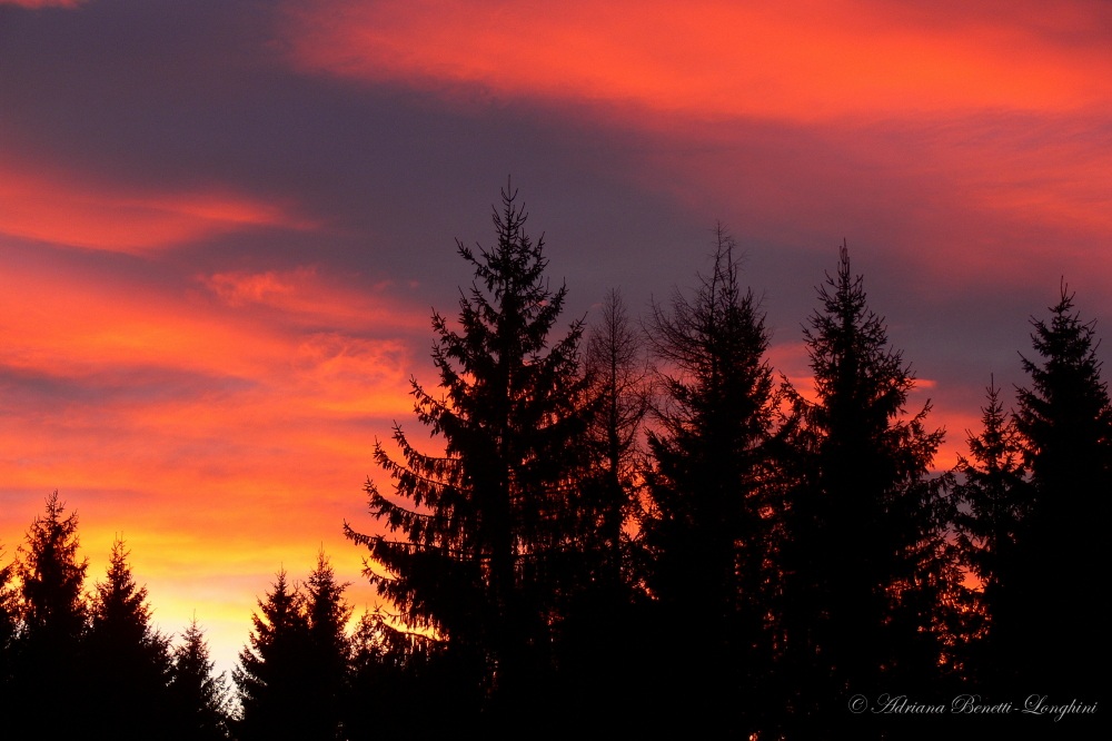 Meltar Sunset