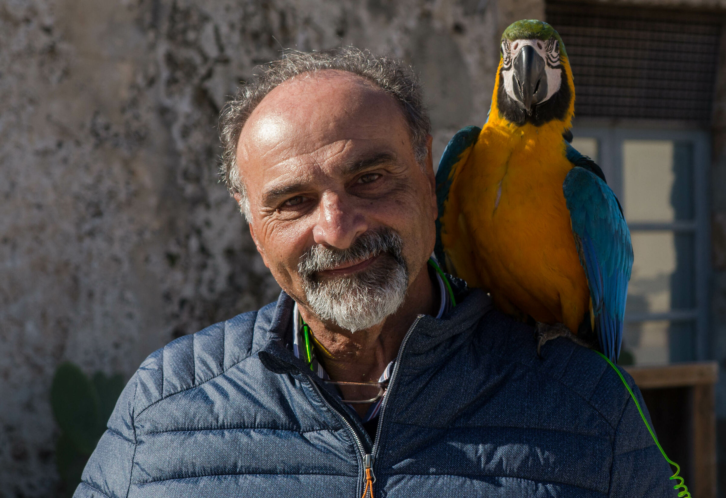 Mettiti in posa, che ci fa la foto