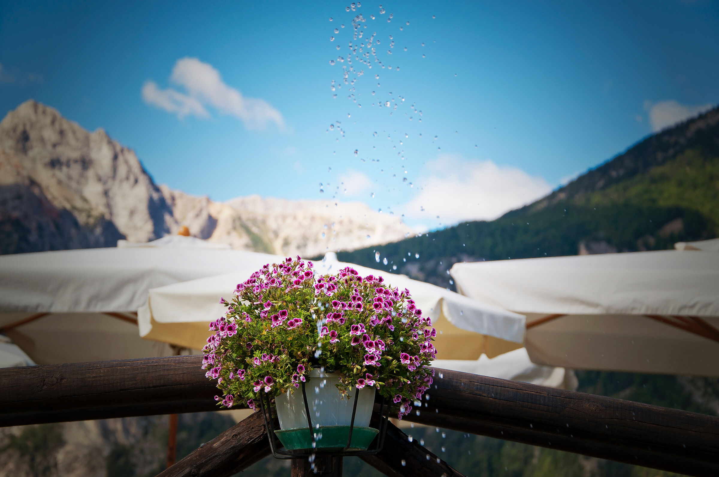 Pian Del Sole Bardonecchia