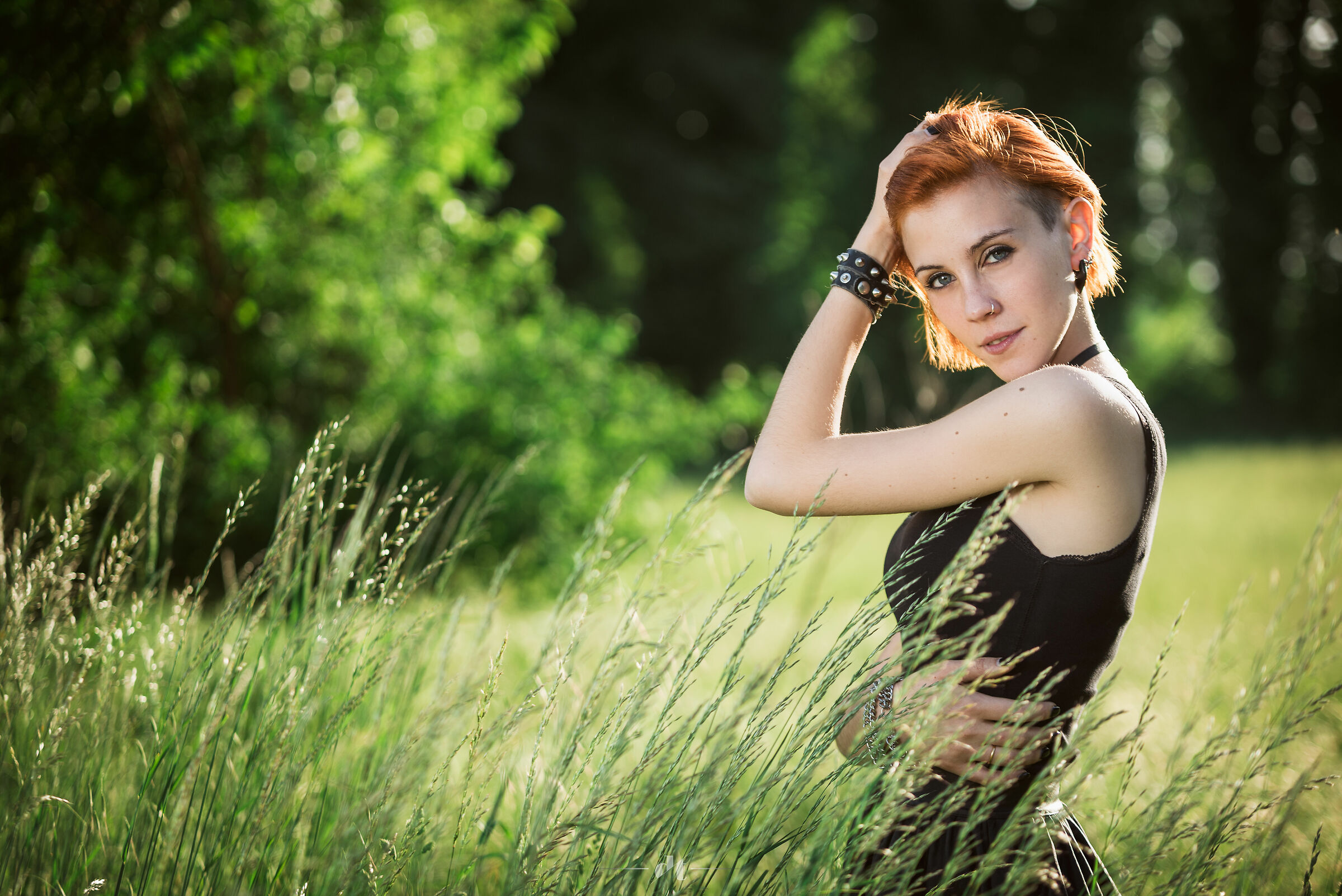 Sofia