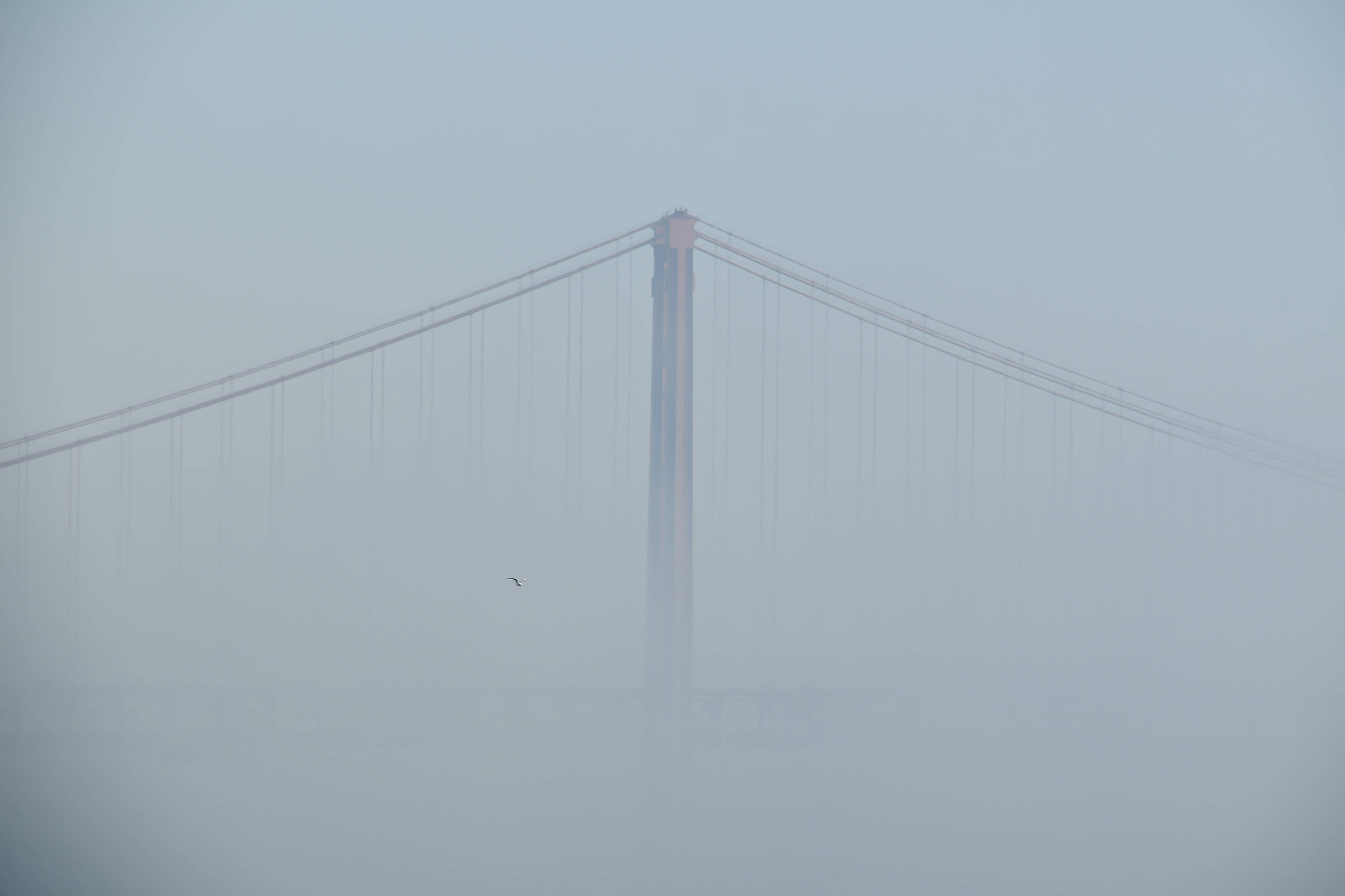 Lisbon