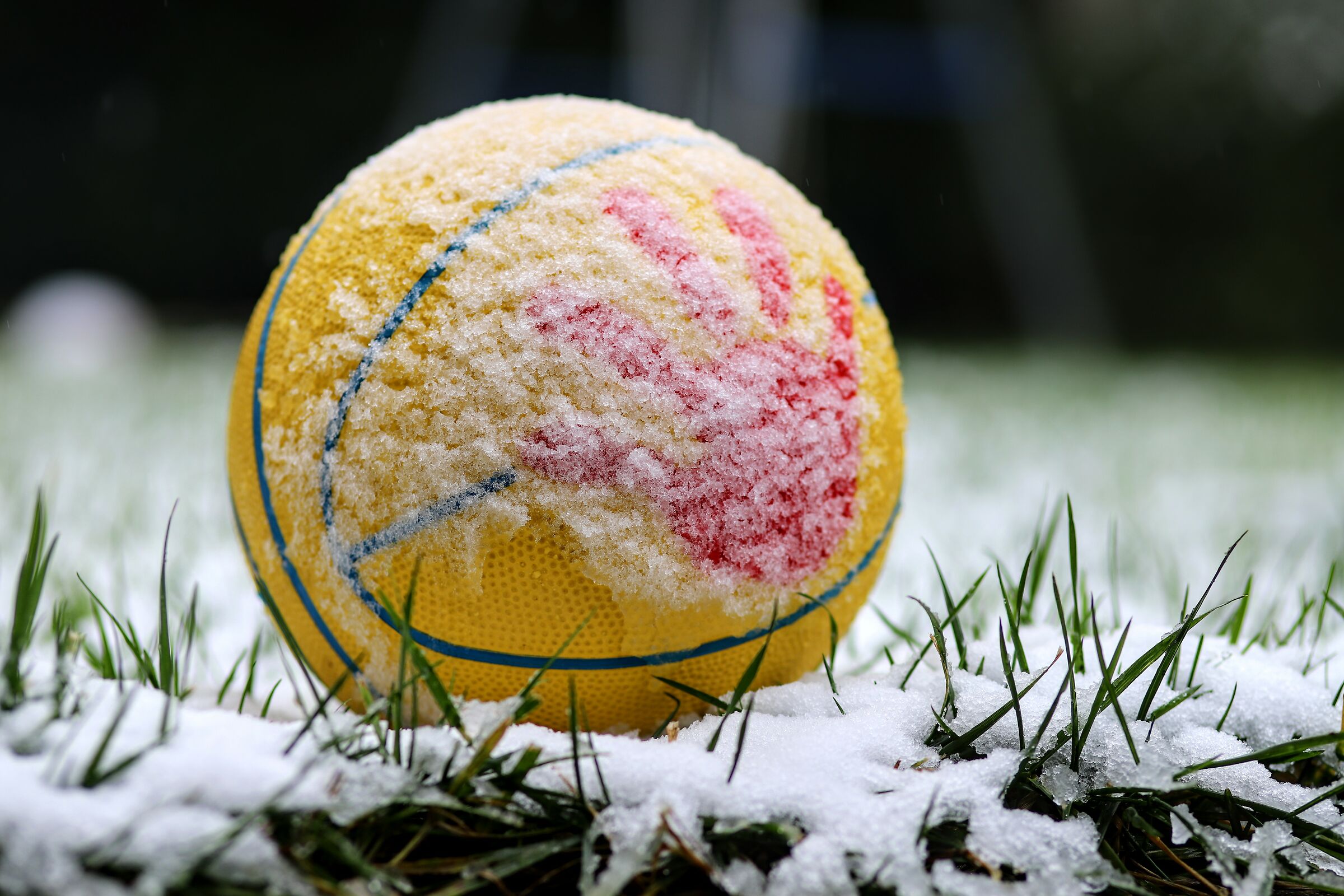 ... welcome back my white lady!!