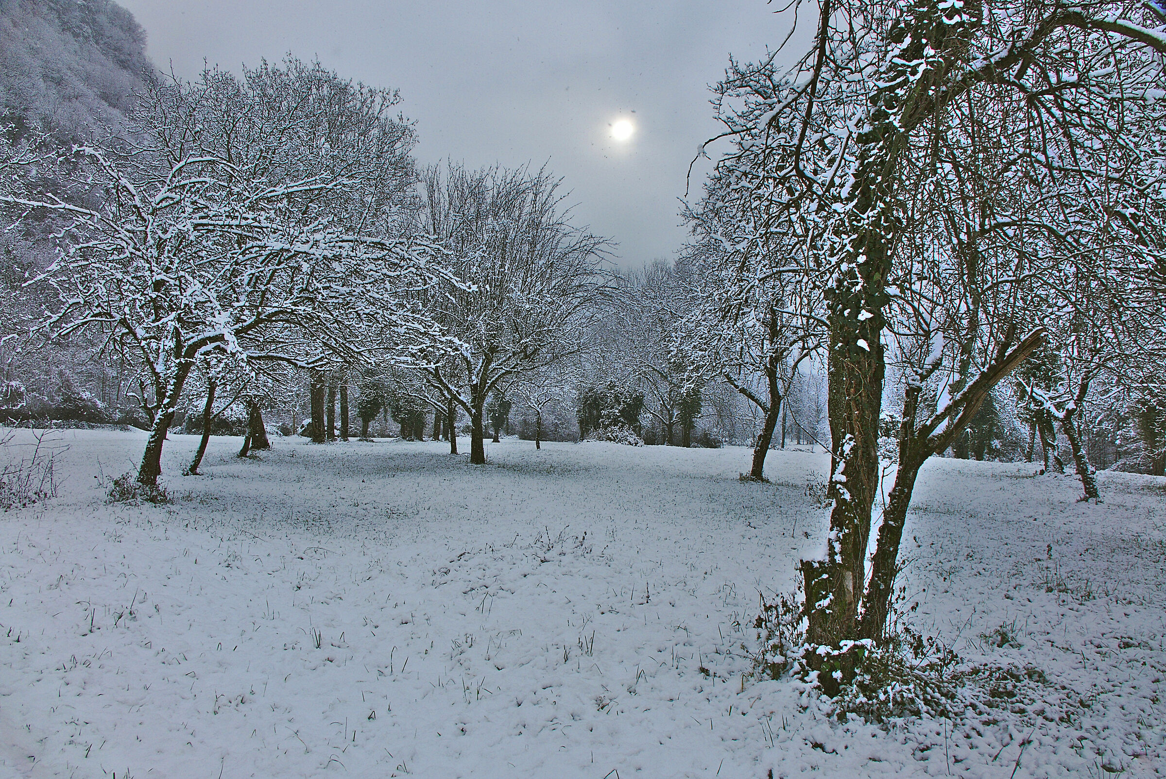 The first low-altitude snow