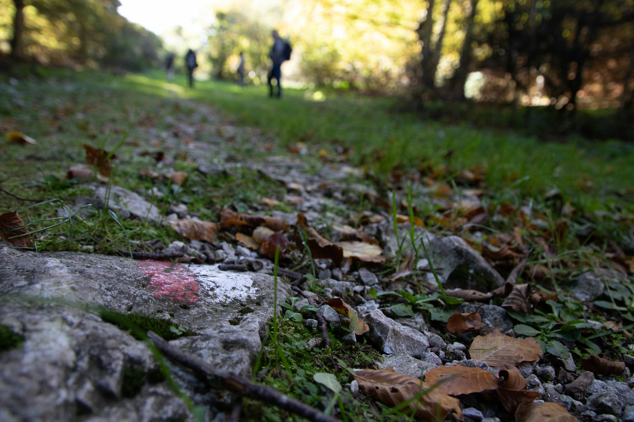 Trails of the Apennine