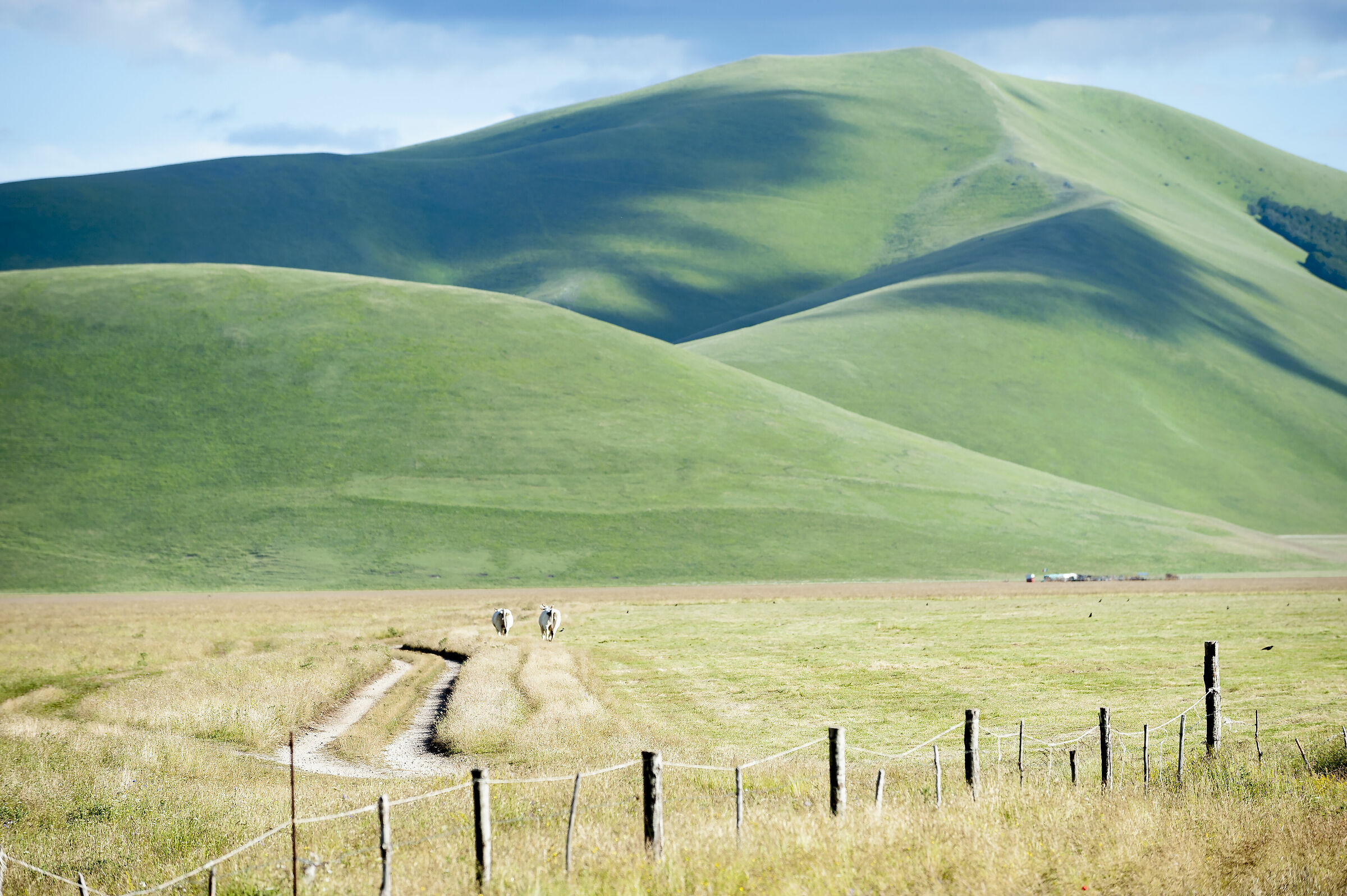 La piana di castelluccio
