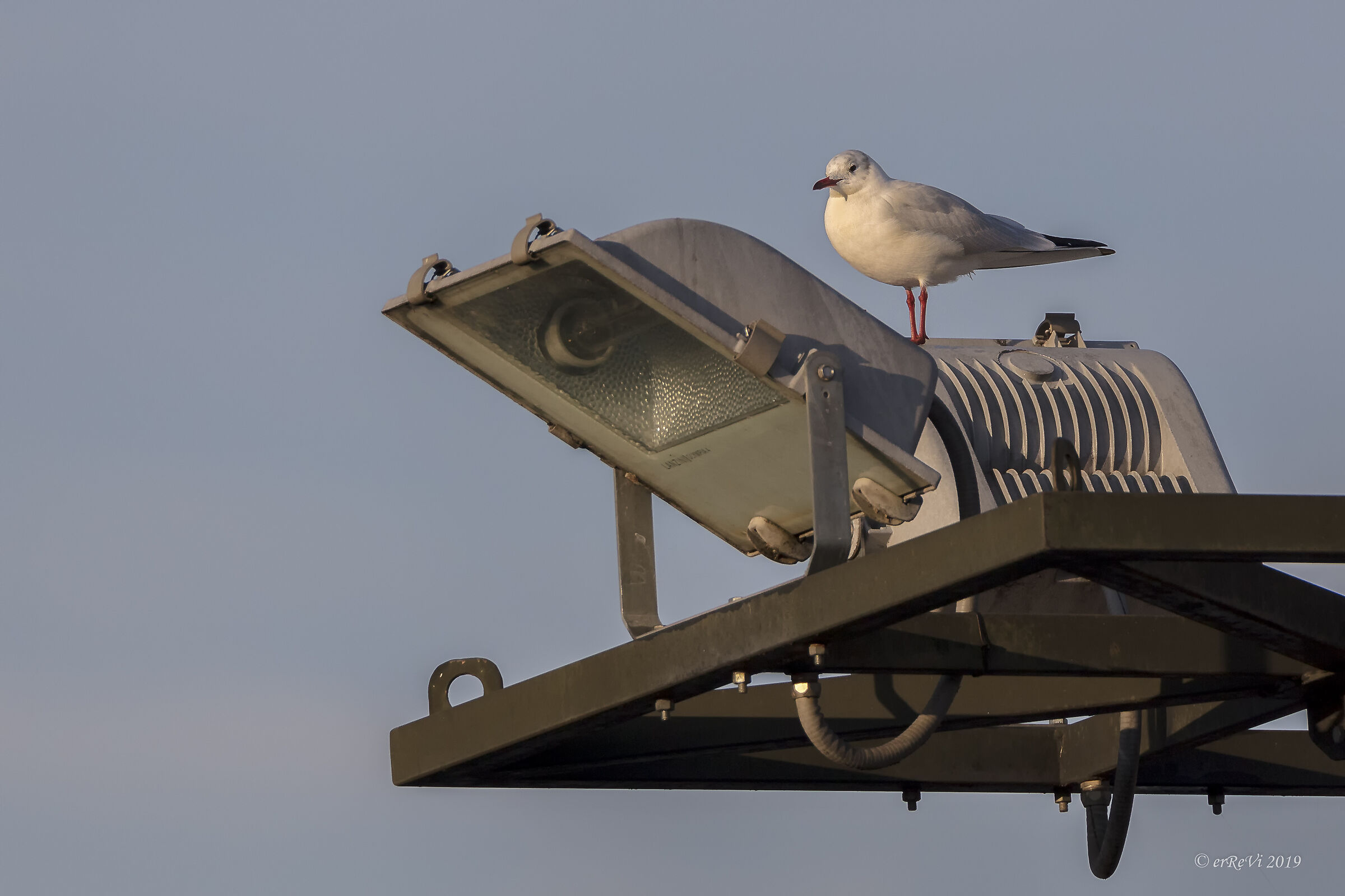The Lighthouse Keeper at sunset.