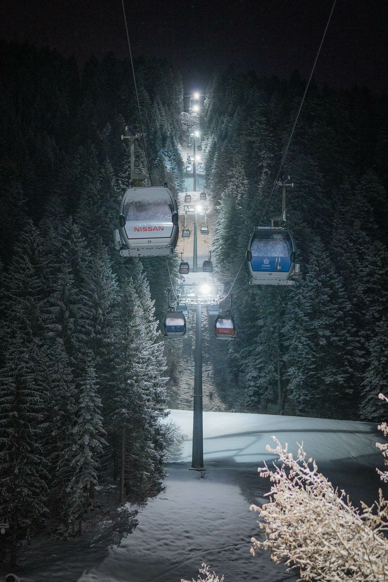 Light in the Darkness