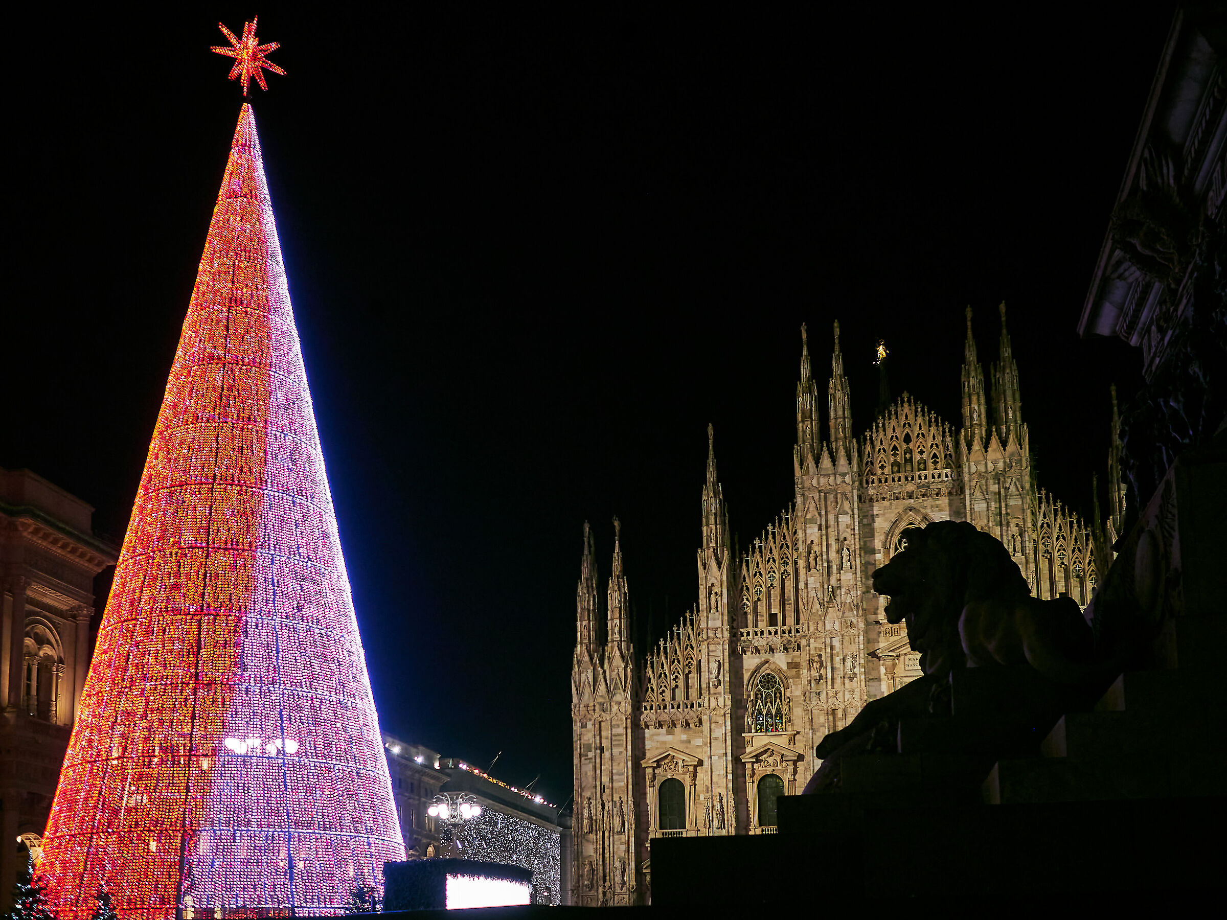 Christmas in Piazza Duomo